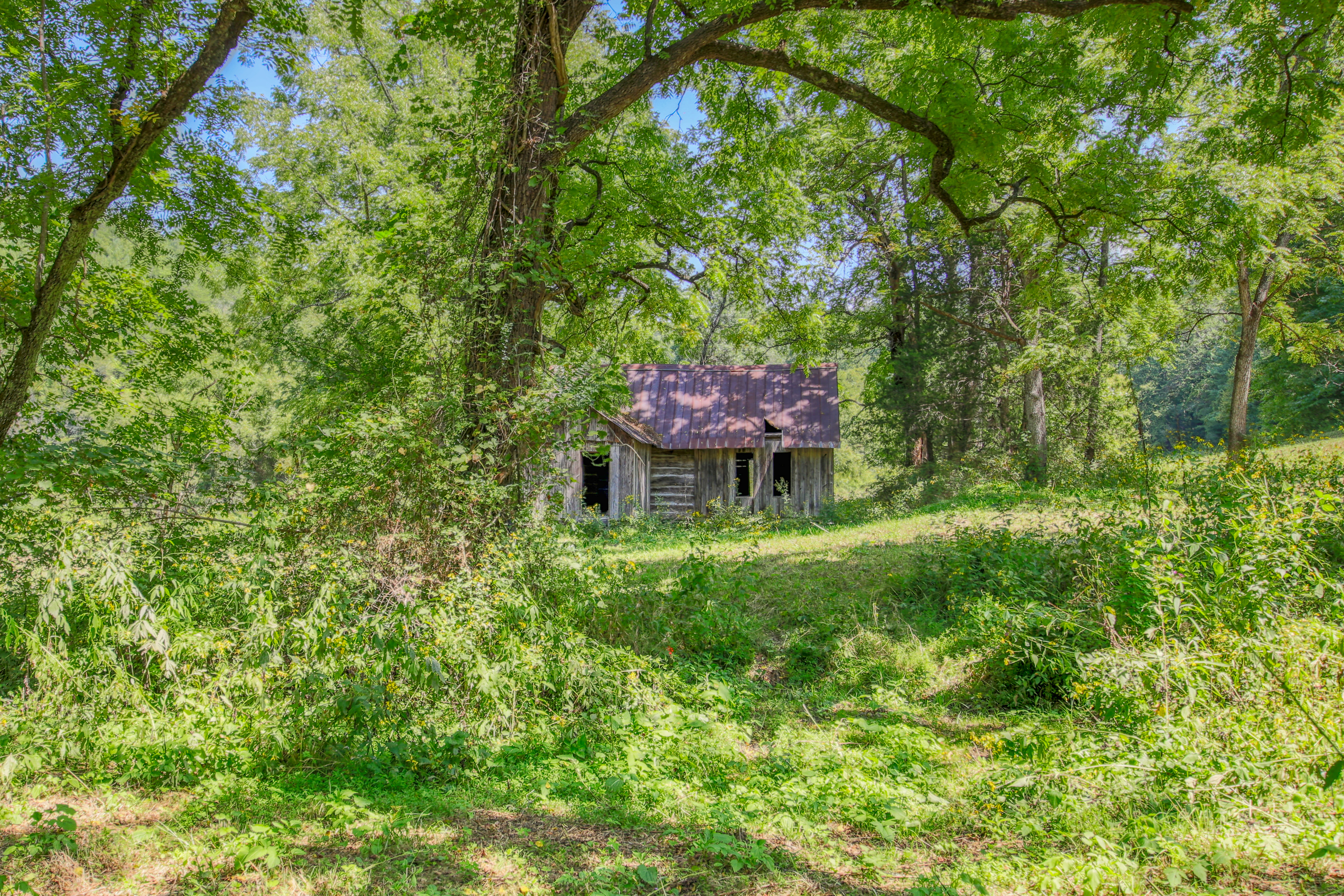  Belcher Loop, Tellico Plains, TN 37385 - 物件實景
