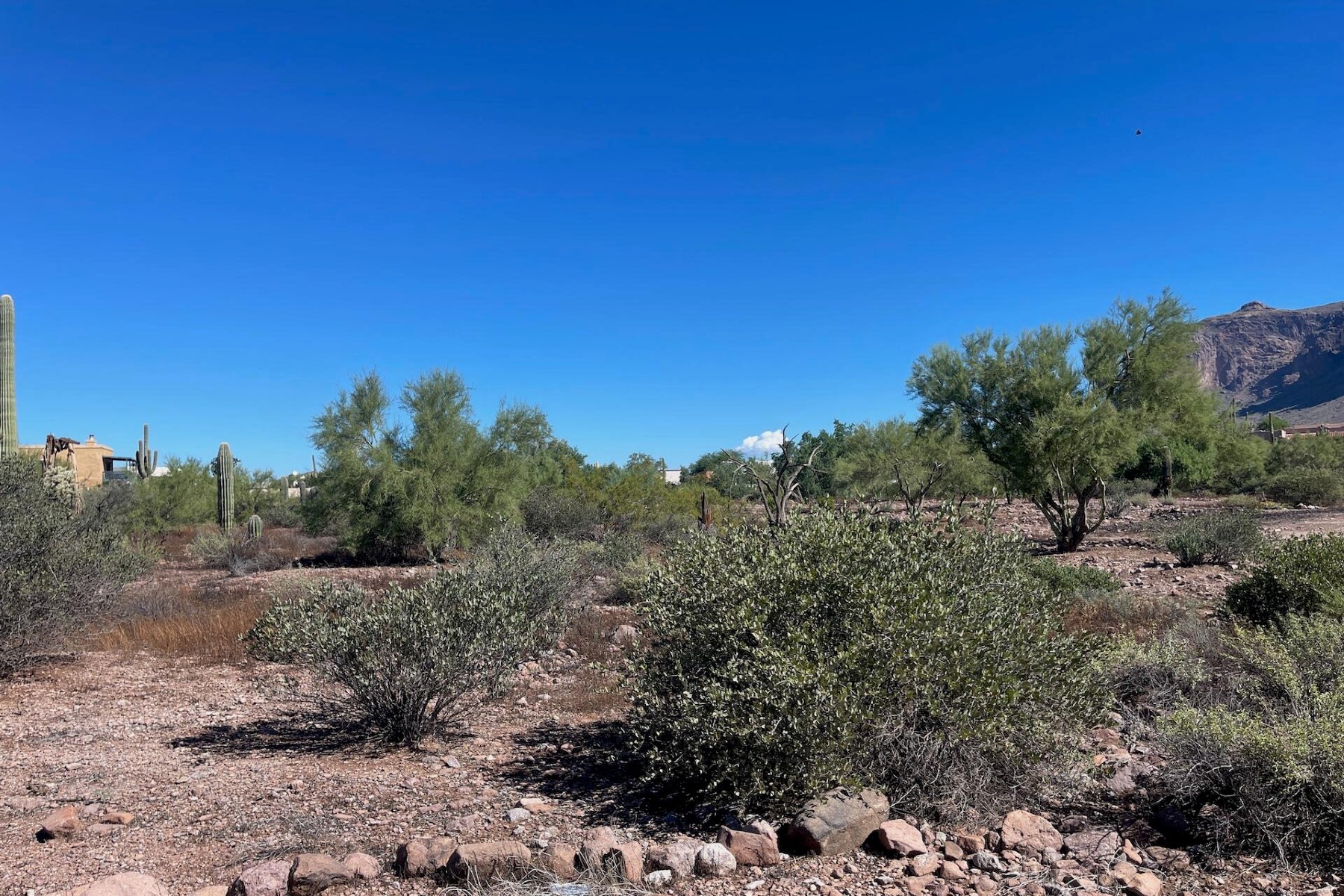 52 E Scenic (geronimo) Street¦Apache Junction, AZ - 物件實景