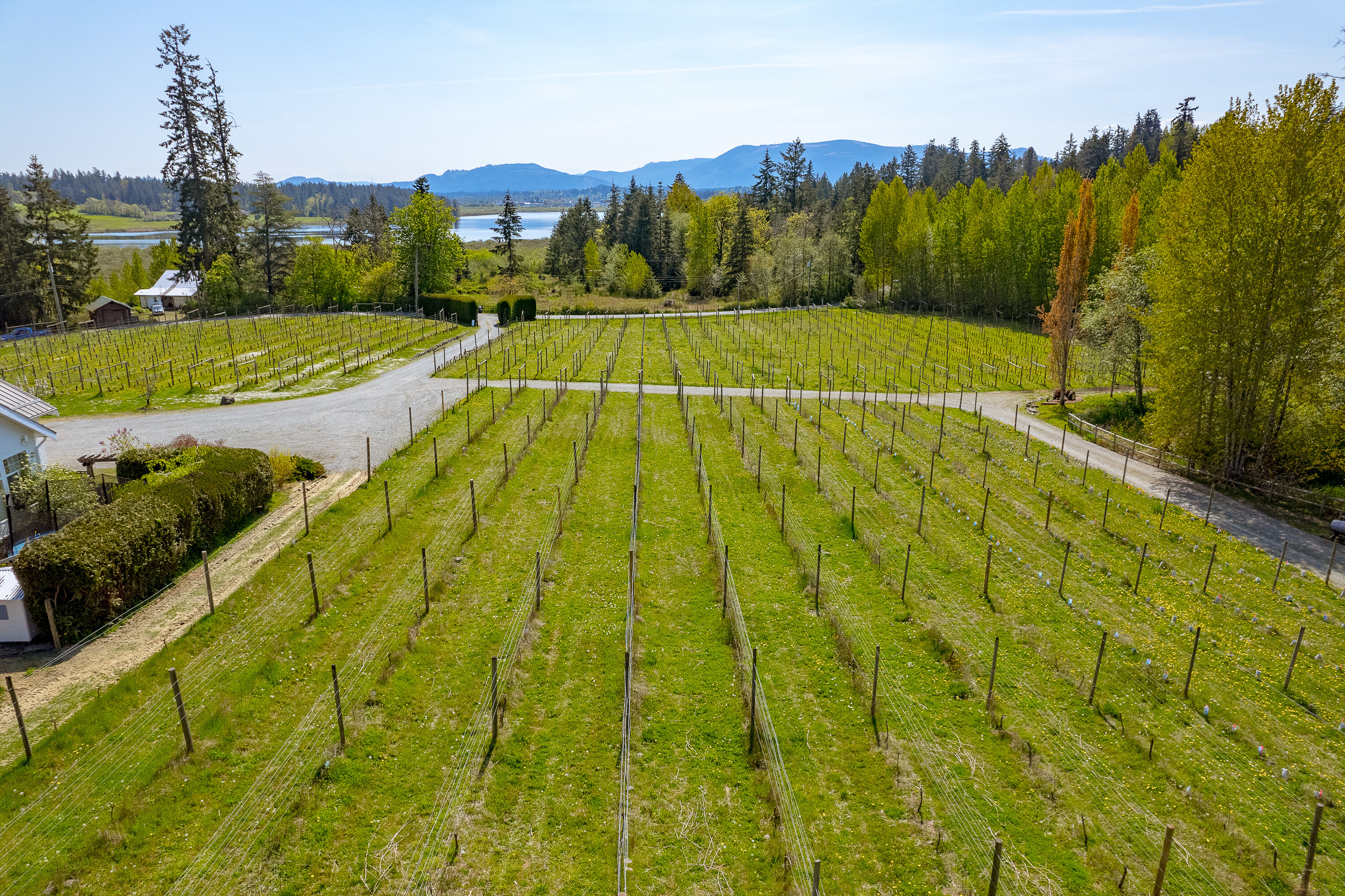  Welcome to Emandare Vineyard - 物件實景