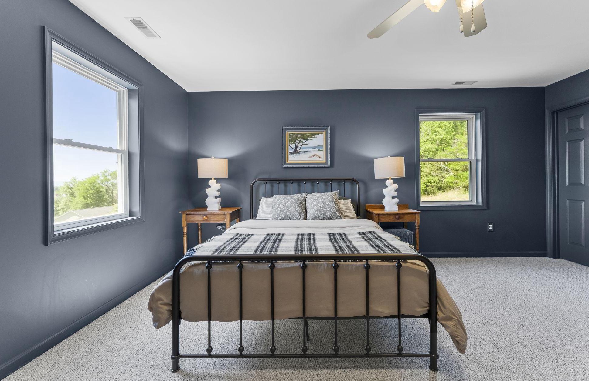  384 Lindamood Lane, Strasburg, VA, 22641 - 物件實景