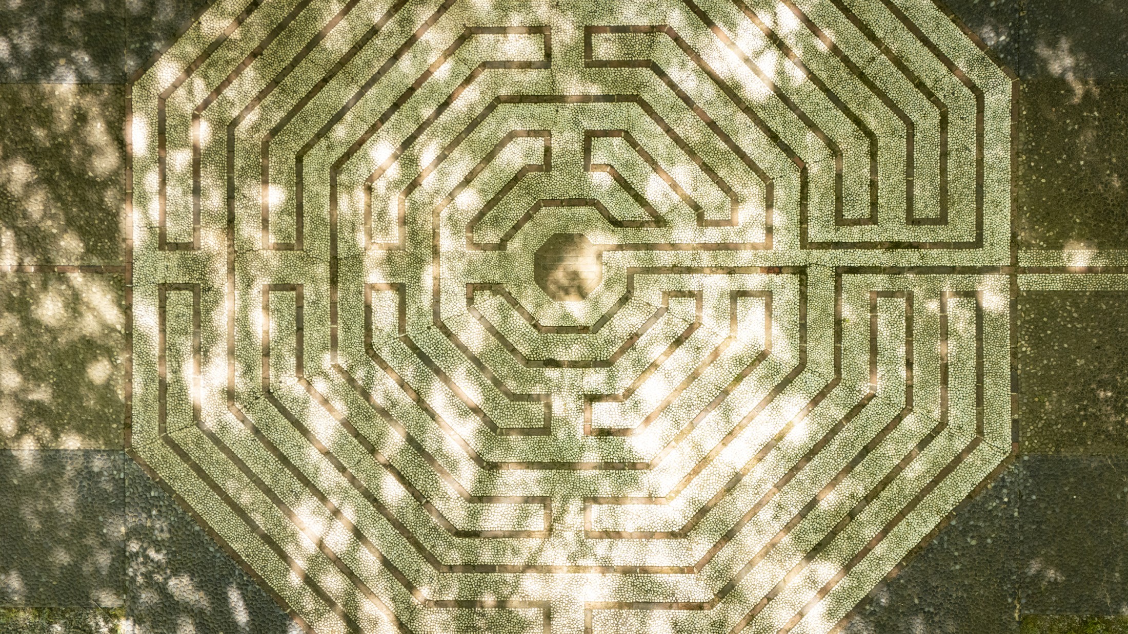  390 Erpf Road - 物件實景