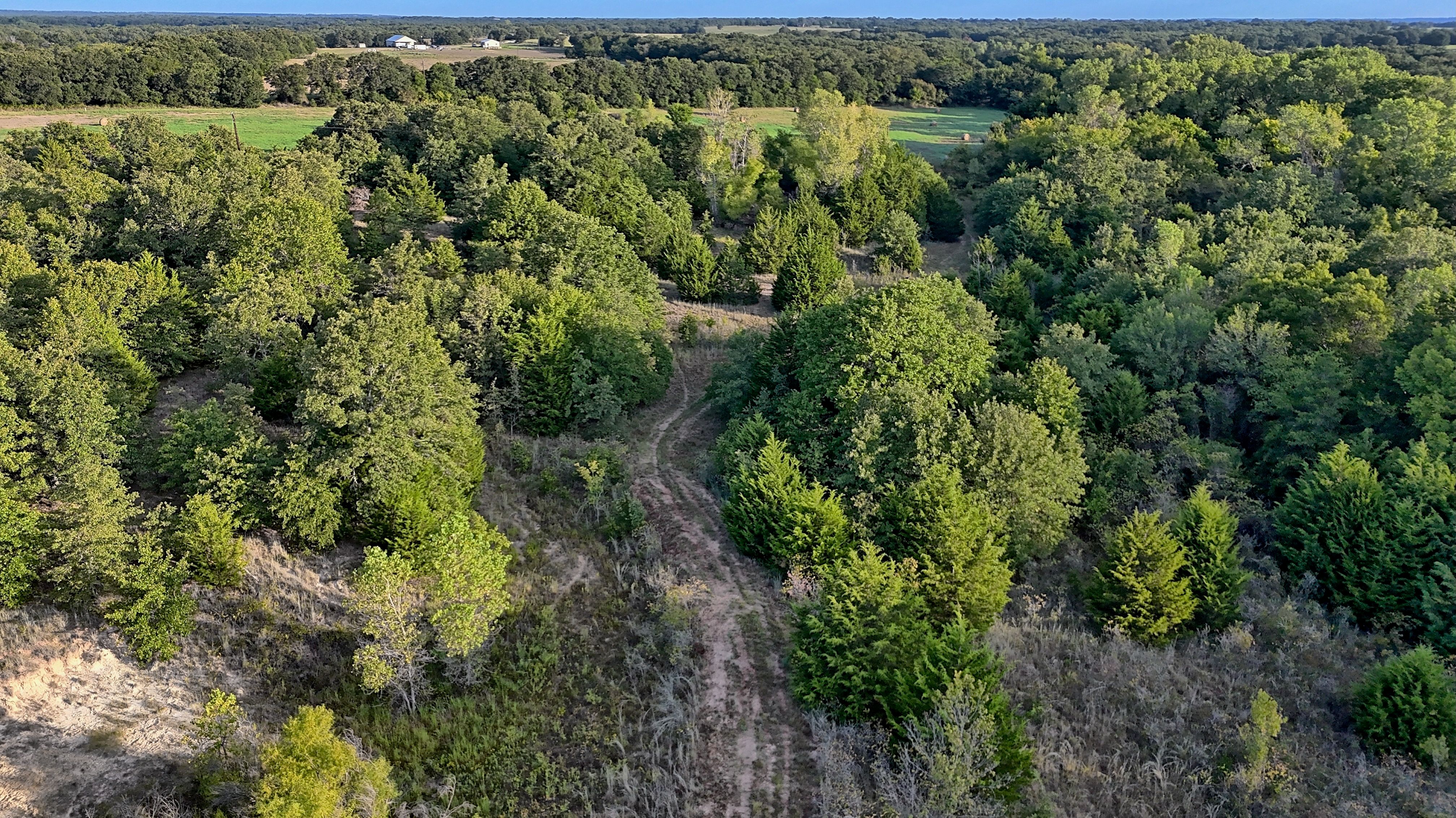  0 Deen Road, Bowie, TX, 76230 - 物件實景