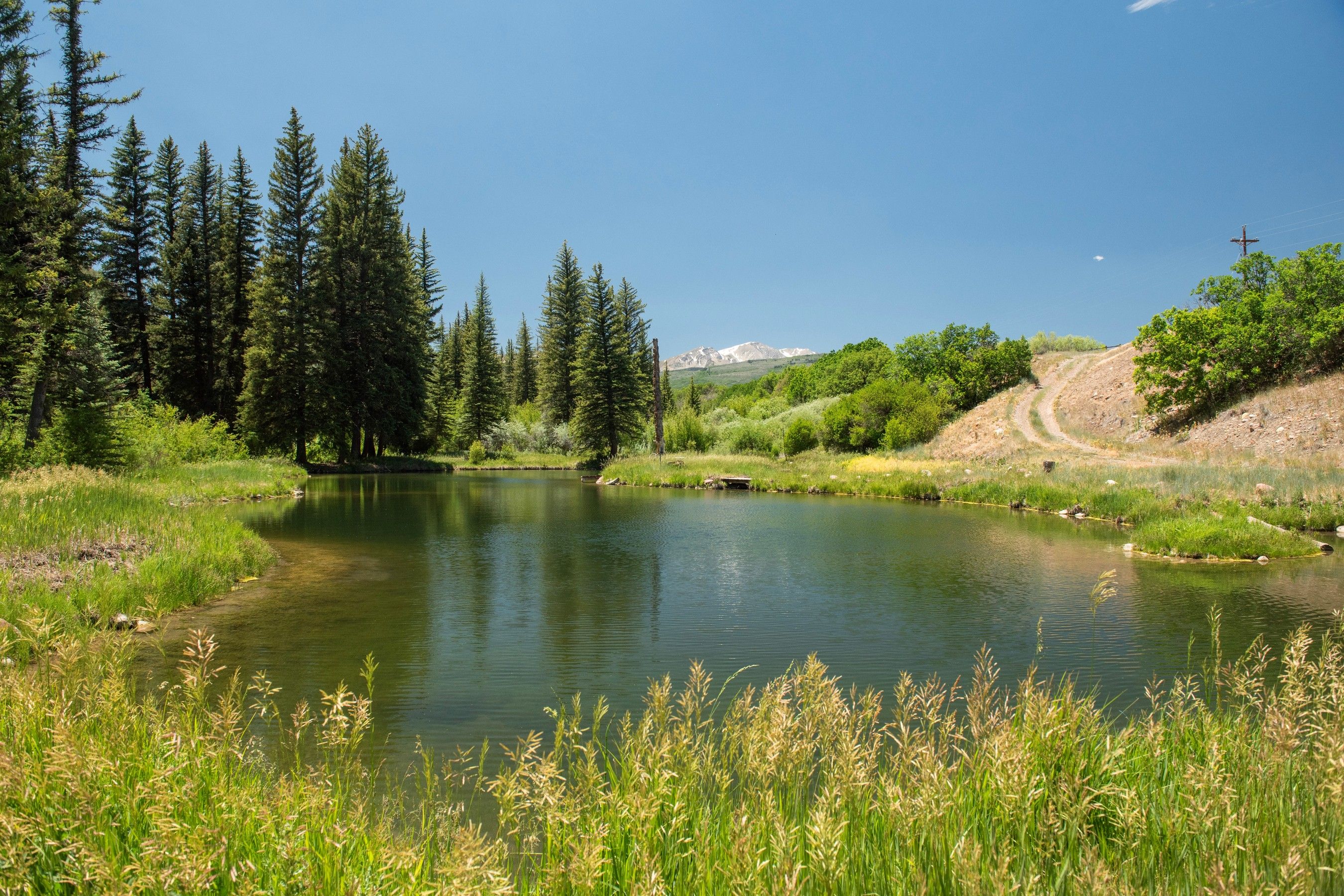  Historic Ranch Heritage Meets Refined Mountain Living - 物件實景