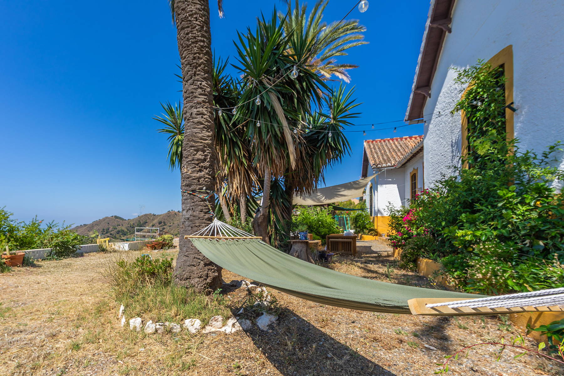  Colonial villa with olive farm near Montes de Málaga Natural Park - 物件實景