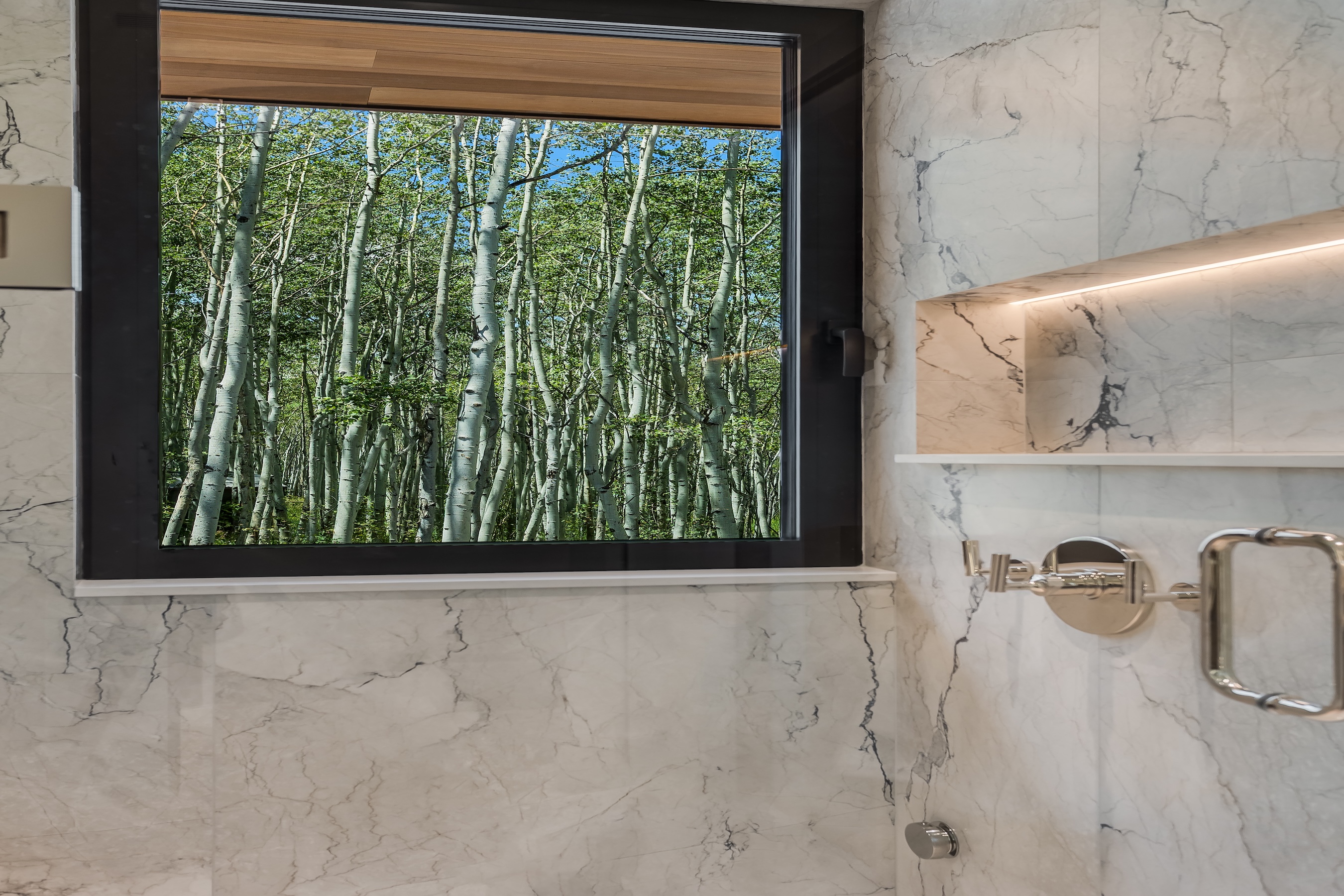  231 Maple Ridge Lane, Snowmass Village, CO 81615 - 物件實景