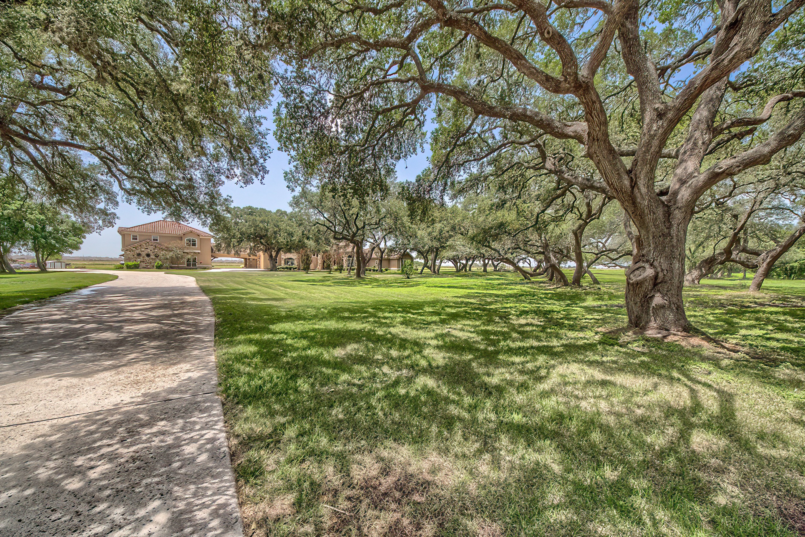 Seguin, Texas, 78155, United States, 7 Bedrooms Bedrooms, ,7 BathroomsBathrooms,Residential,For Sale,1994199