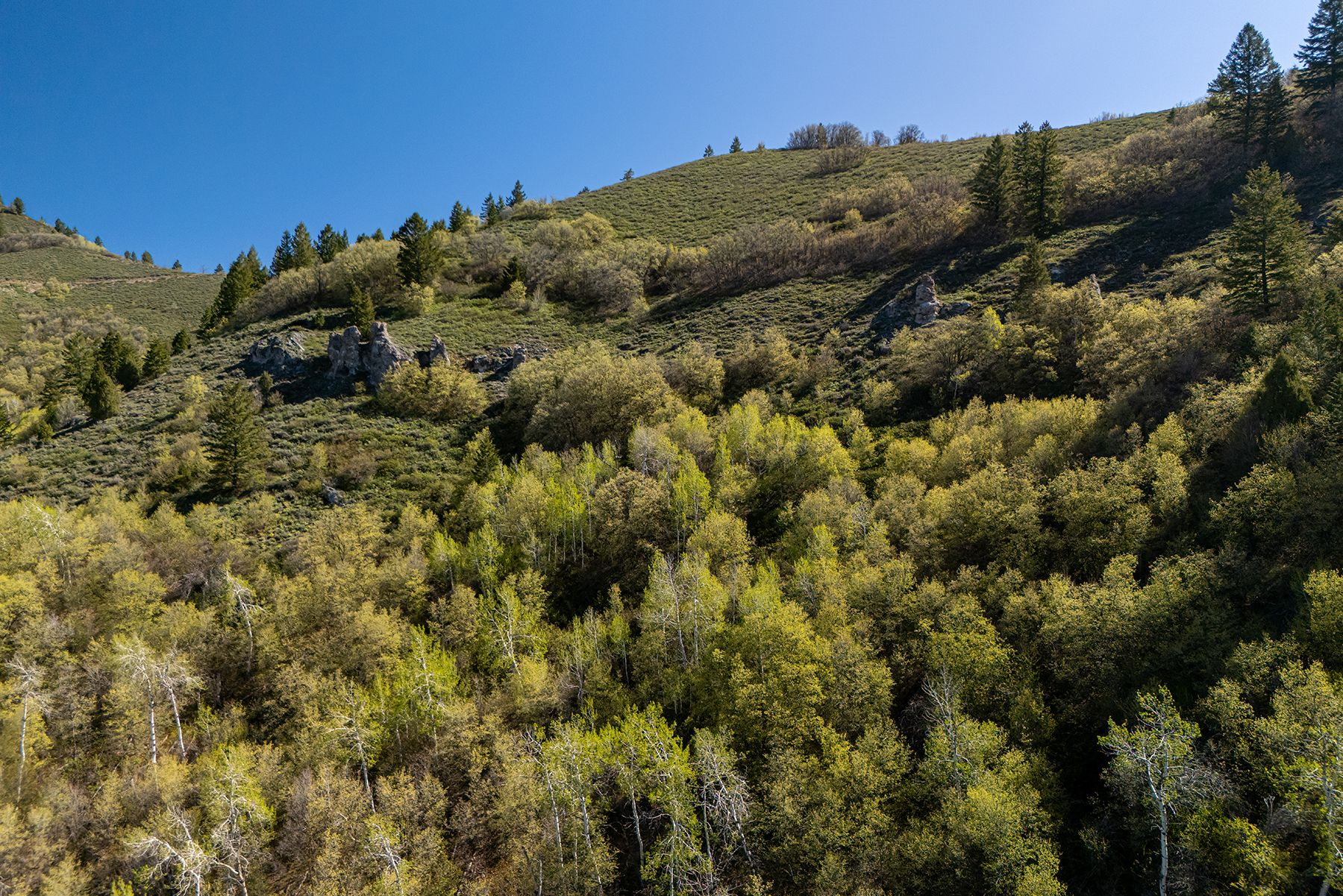  Property Overlooking the Palisades Reservoir - 物件實景
