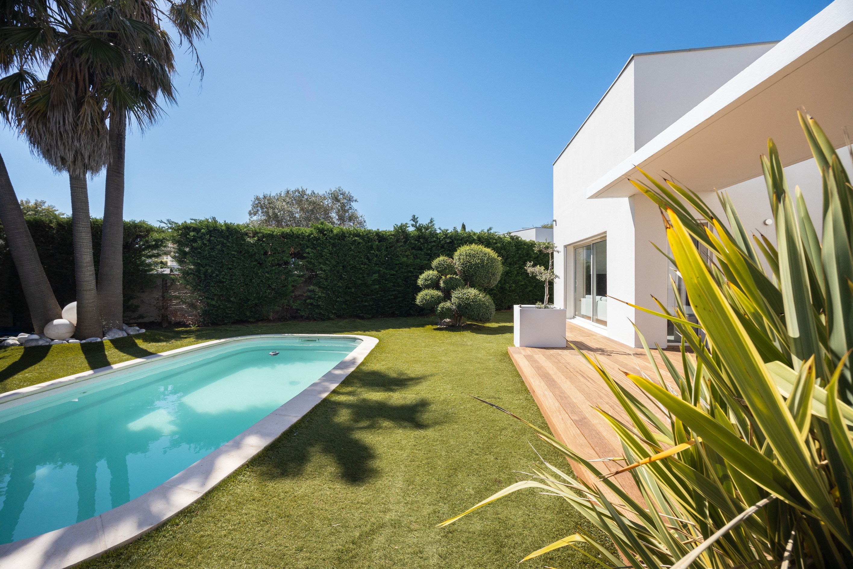  MODERN SINGLE-STORY HOME WITH A POOL IN A QUIET NEIGHBORHOOD - 物件實景