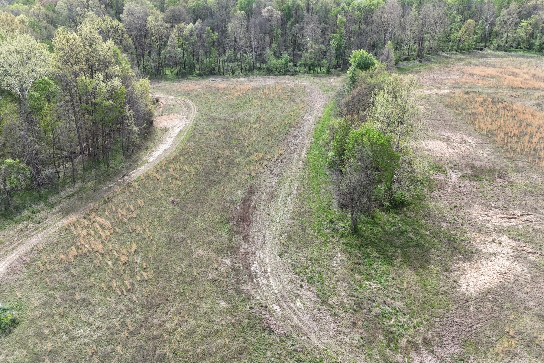  Expansive 56 Acre Property Ready For Your Dream Home - 物件實景