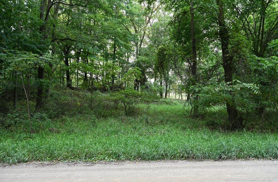 Morrice, Michigan, 48857, United States, ,Residential,For Sale,1942639