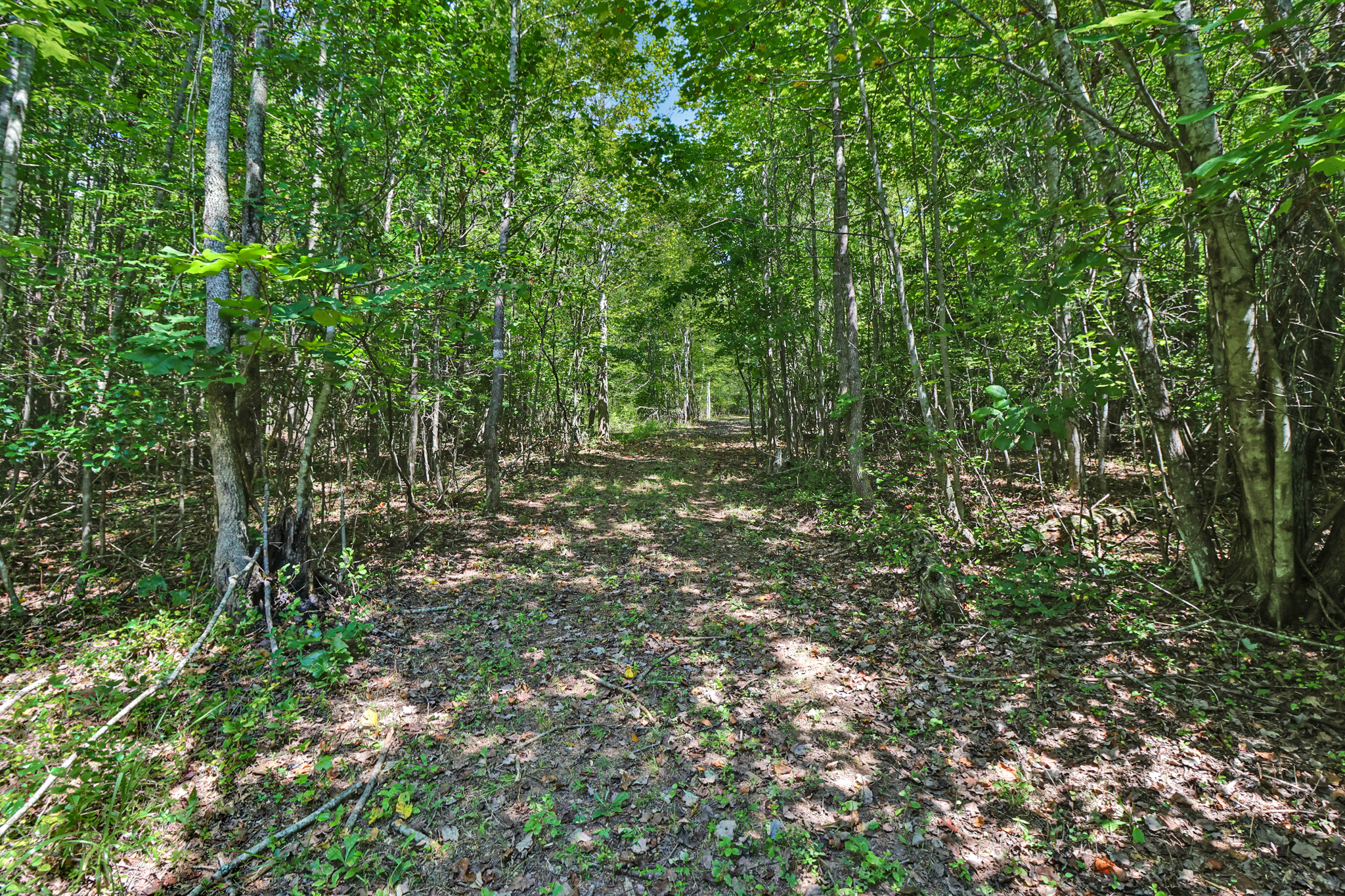 Rockwood, Tennessee, 37854, United States, 4 Bedrooms Bedrooms, ,3 BathroomsBathrooms,Residential,For Sale,2011403