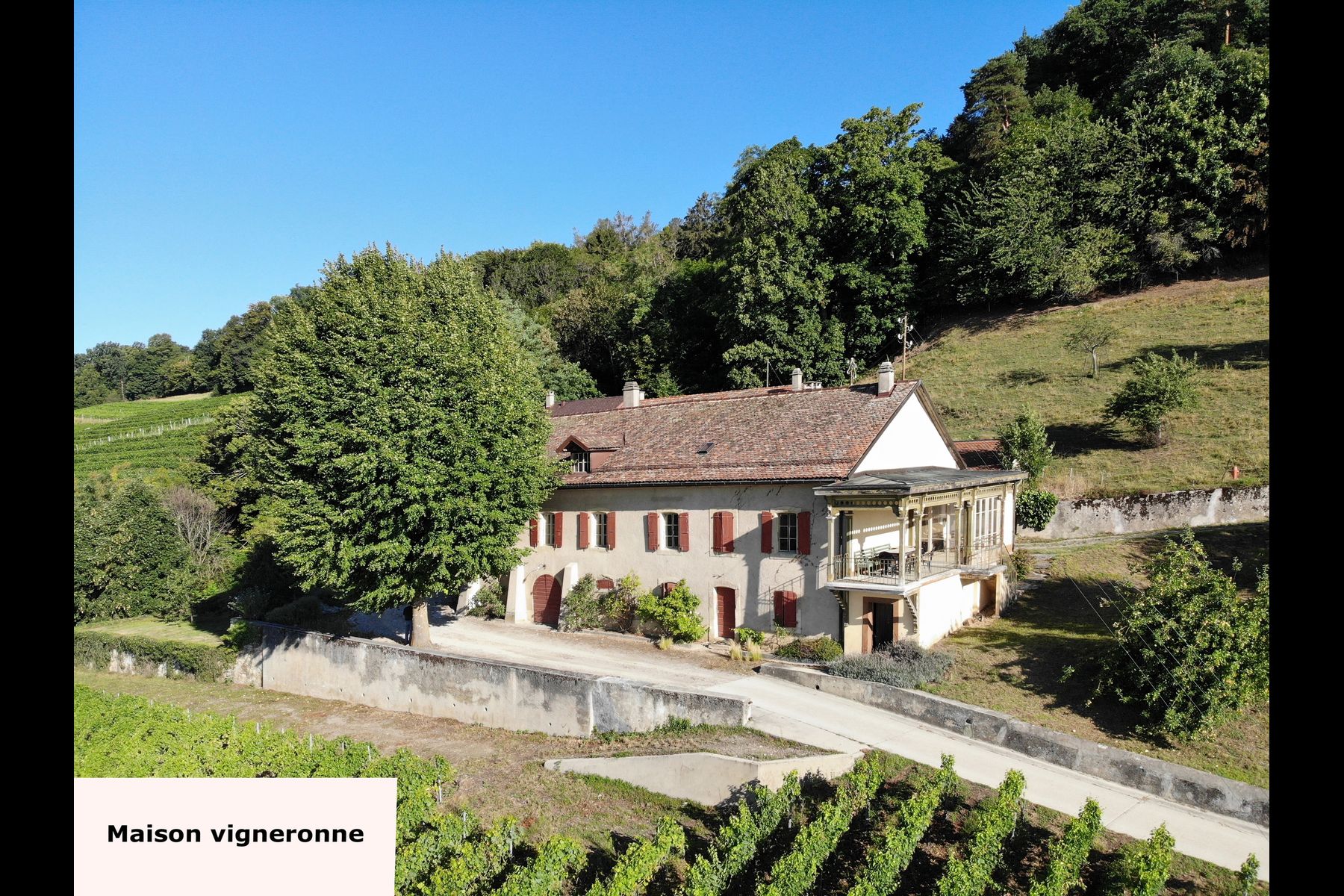  Wine-growing estate with forest, breathtaking lake view - 物件實景