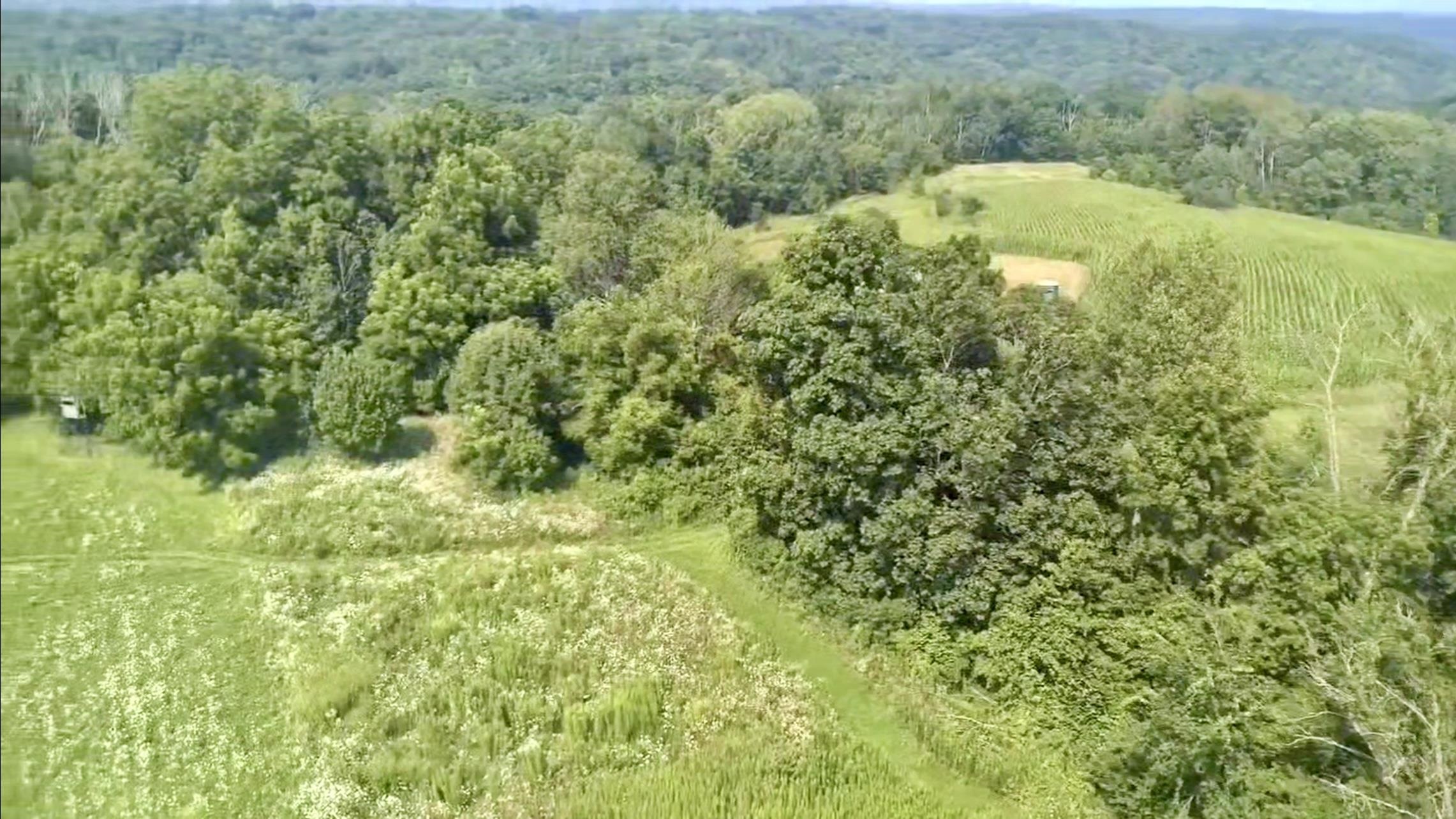 Gays Mills, Wisconsin, 54631, United States, ,Residential,For Sale,1928729
