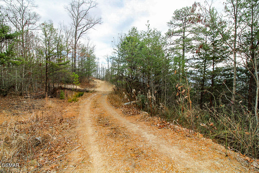 Sevierville, Tennessee, 37876, United States, ,Land,For Sale,2009102