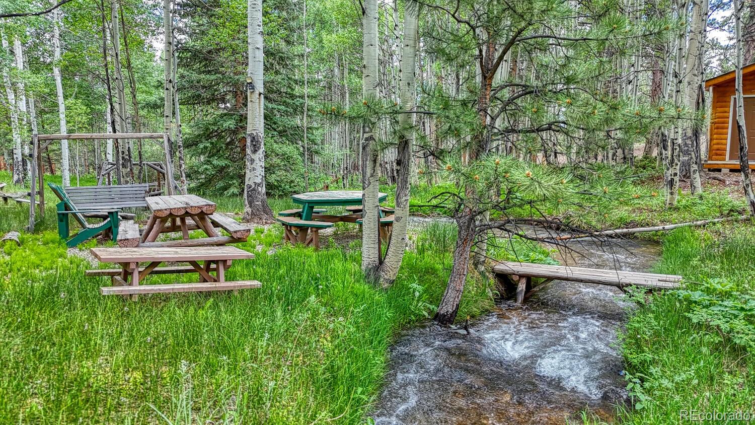 Buena Vista, Colorado, 81211, United States, 6 Bedrooms Bedrooms, ,6 BathroomsBathrooms,Residential,For Sale,2008137