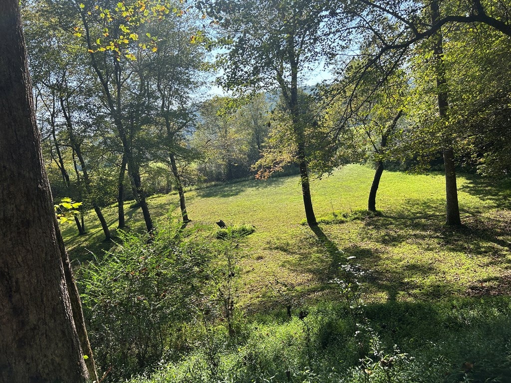 Blue Ridge, Georgia, 30513, United States, 3 Bedrooms Bedrooms, ,3 BathroomsBathrooms,Residential,For Sale,1954403