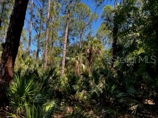Punta Gorda, Florida, 33982, United States, ,Land,For Sale,1840783