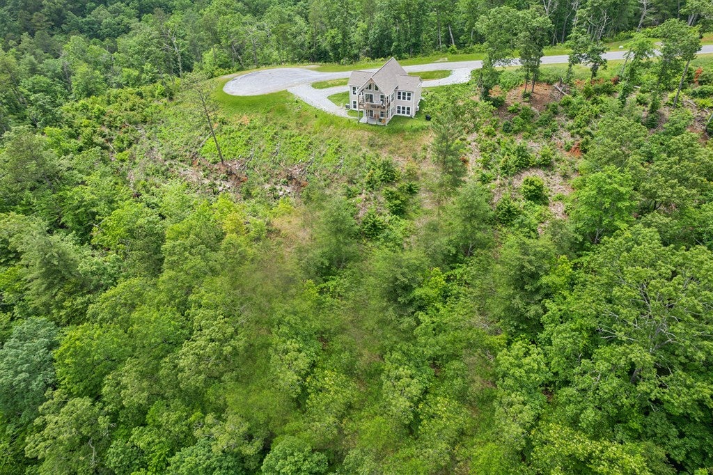 Ellijay, Georgia, 30540, United States, 3 Bedrooms Bedrooms, ,3 BathroomsBathrooms,Residential,For Sale,1859114