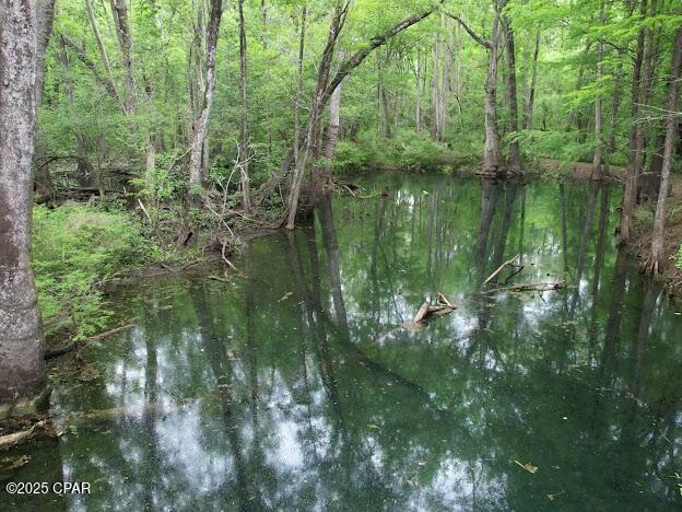 Vernon, Florida, 32462, United States, ,Residential,For Sale,1976647