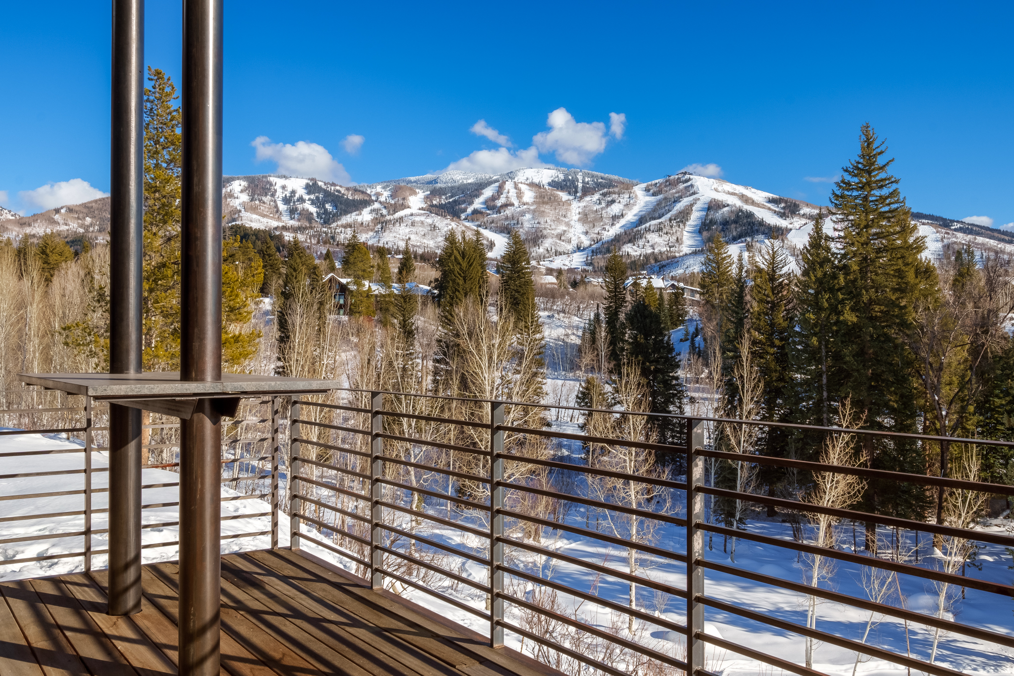  747 Anglers Pond, Steamboat Springs, CO 80487 - 物件實景