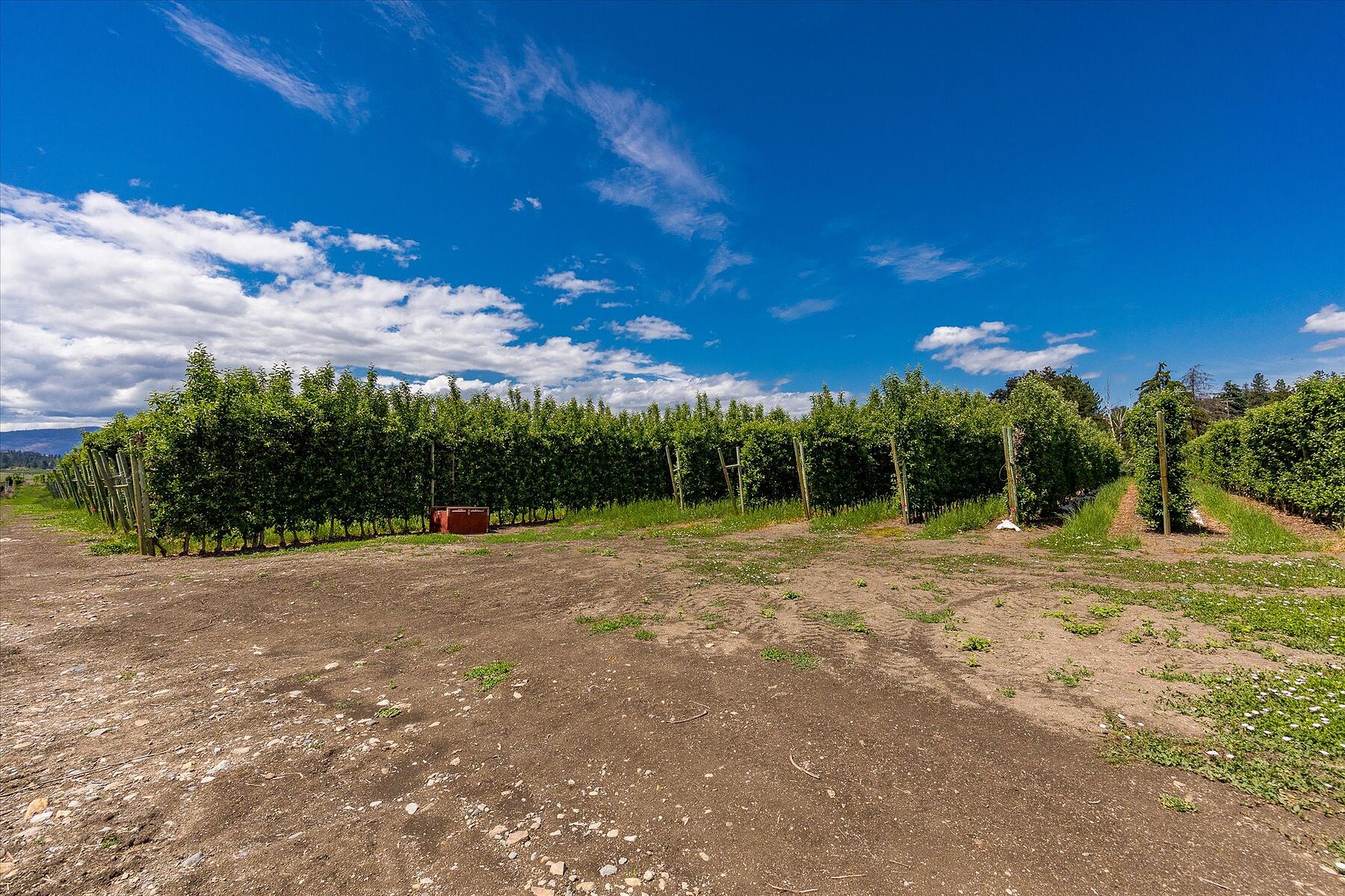  10 Acre Orchard - 物件實景