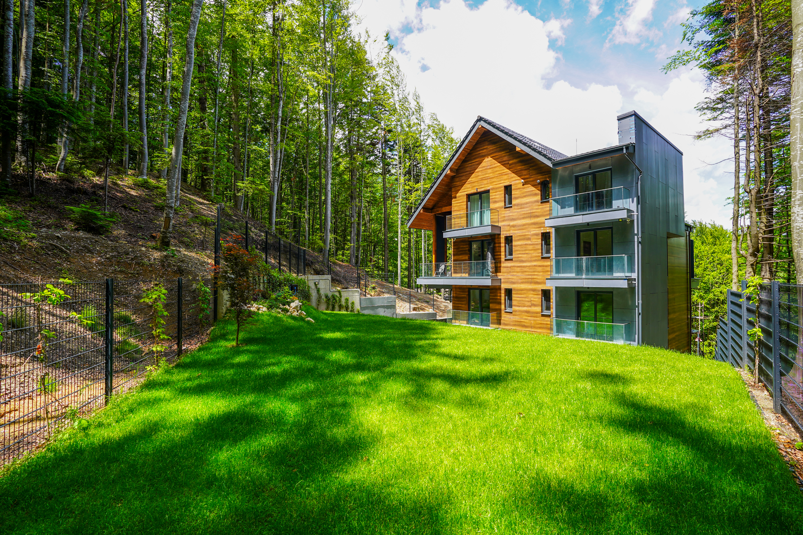  Modern Apartment Directly Adjacent to the Forest, Sinaia - 物件實景