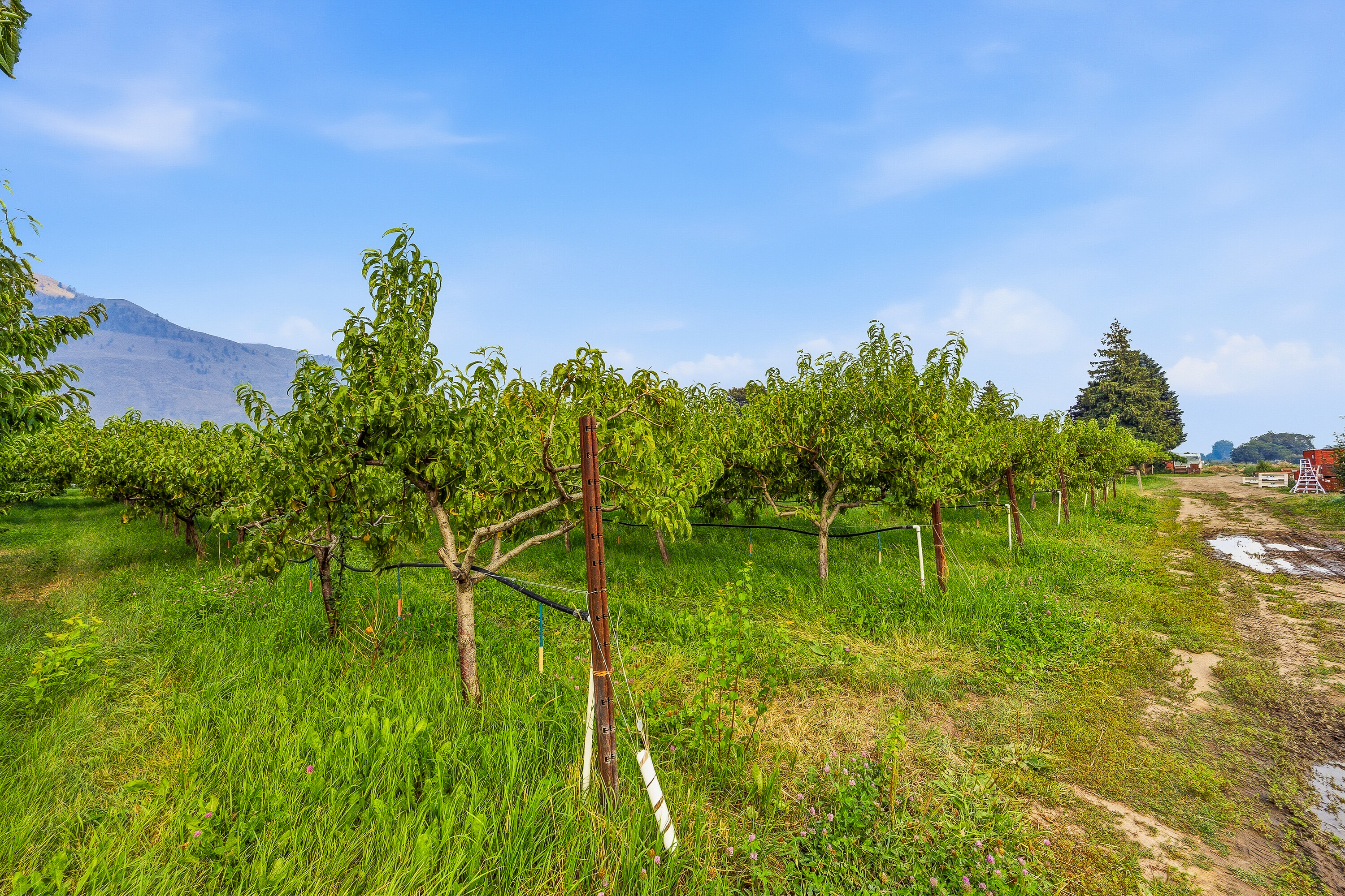  Home on an Organic Farm - 物件實景
