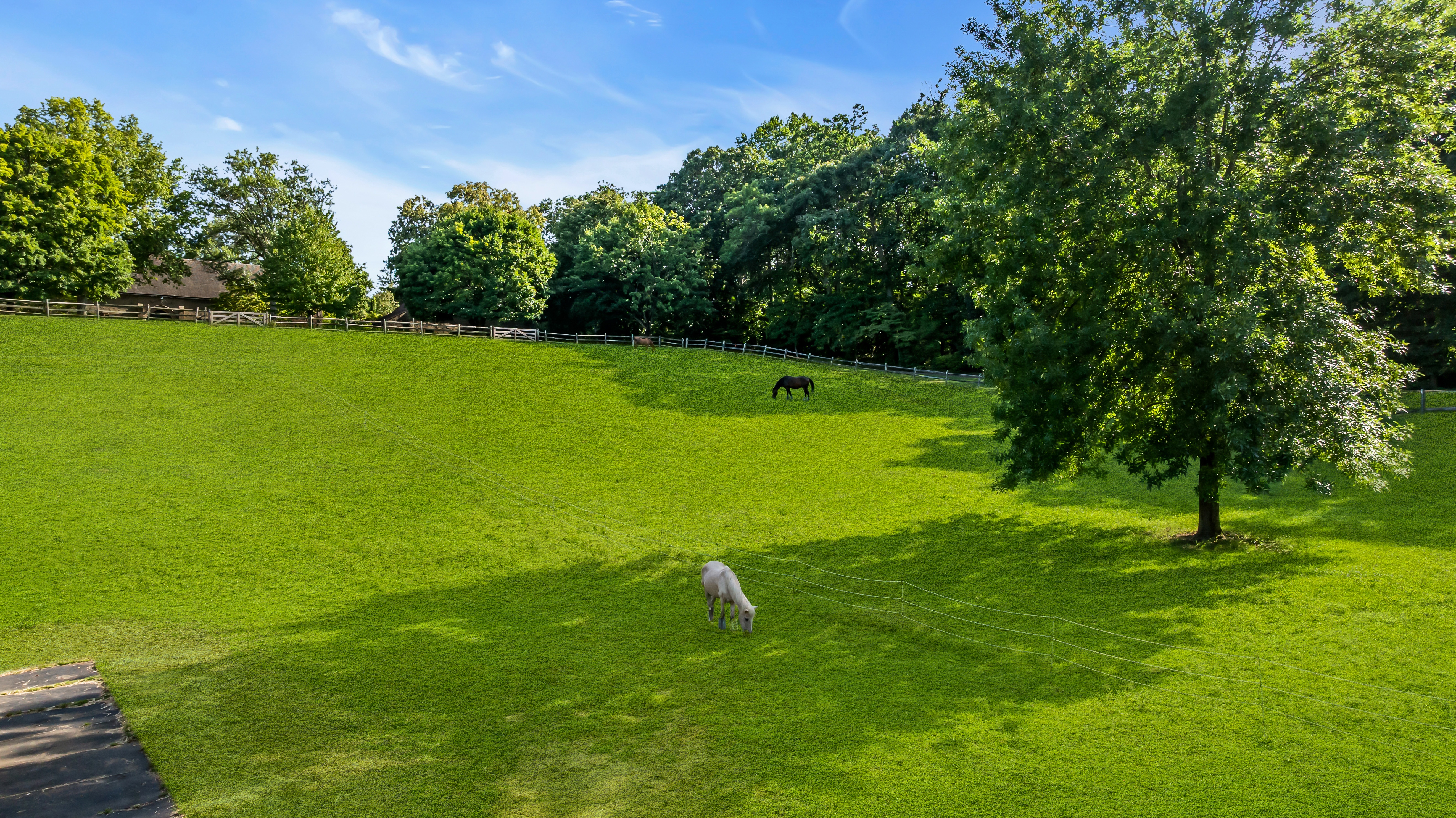  Tower Hill Farm - 物件實景