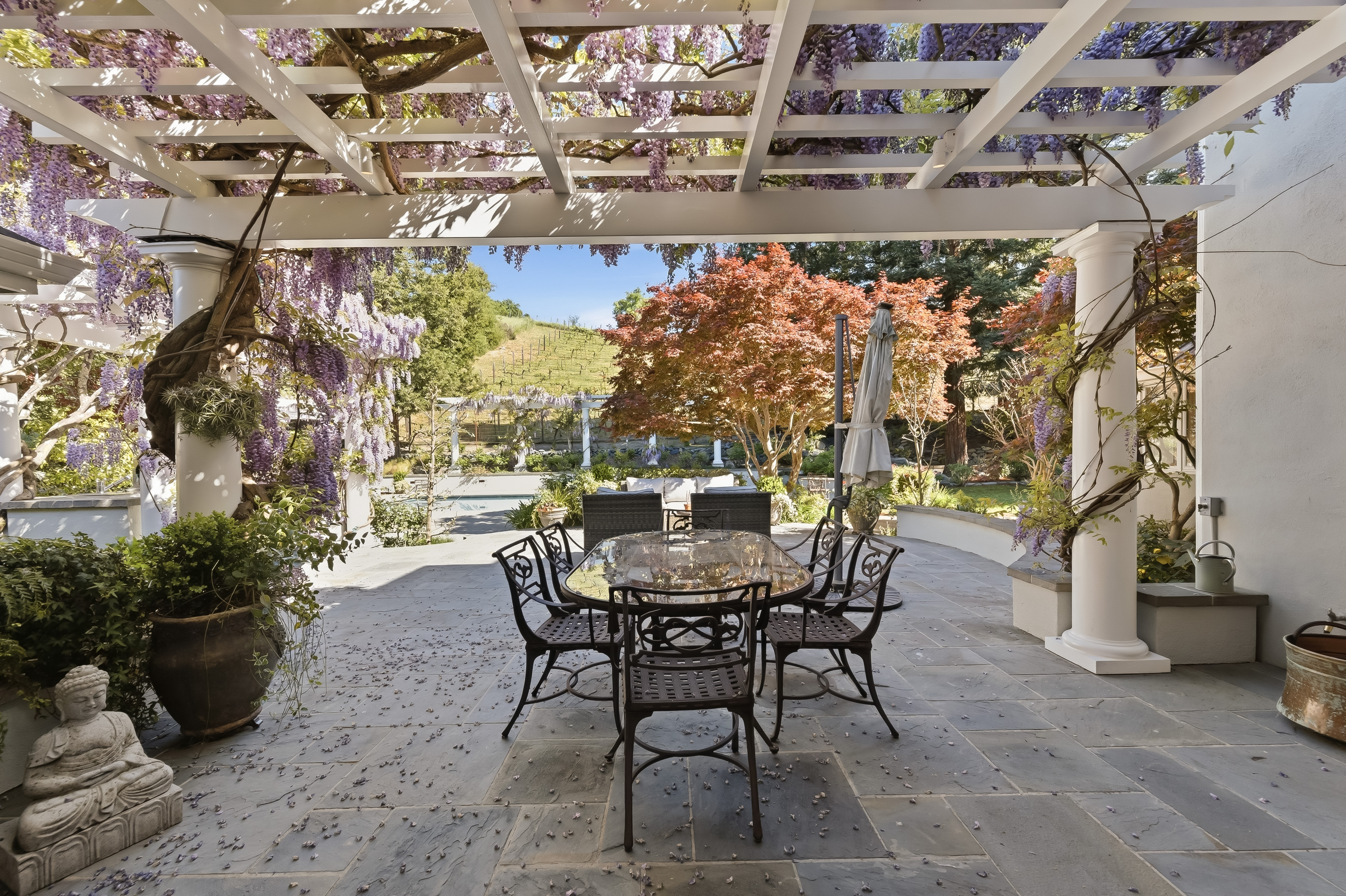  Elegant Vineyard Estate with Resort-Like Grounds - 物件實景