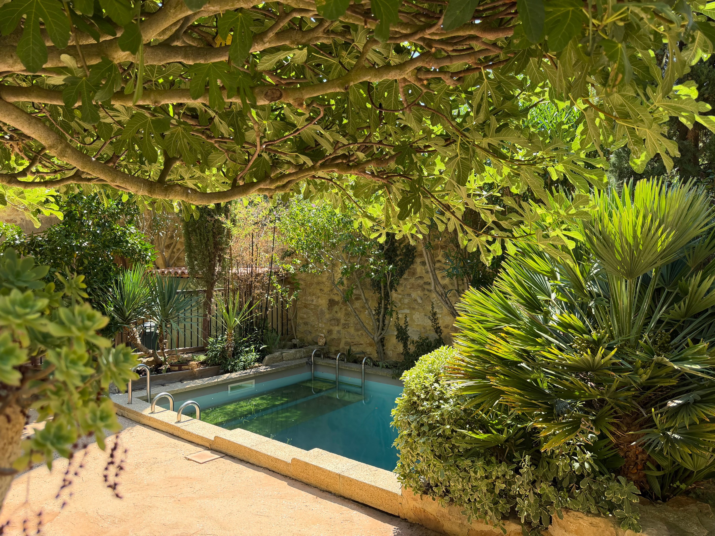  Authentic Provençal Stone Mas – 3.3-Hectare Estate Overlooking the Cèze Valley - 物件實景