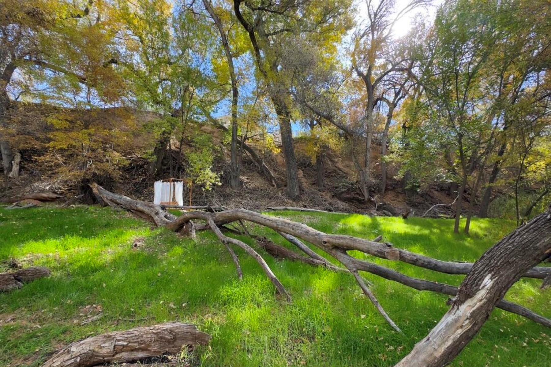  550 S Eden Ln  Cornville, AZ - 物件實景