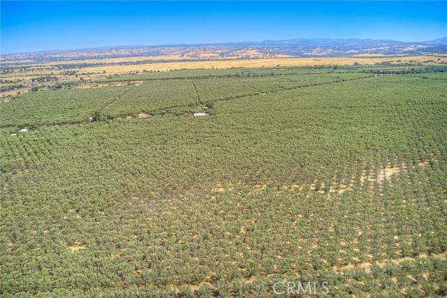 Oroville, California, 95965, United States, ,Land,For Sale,1981865