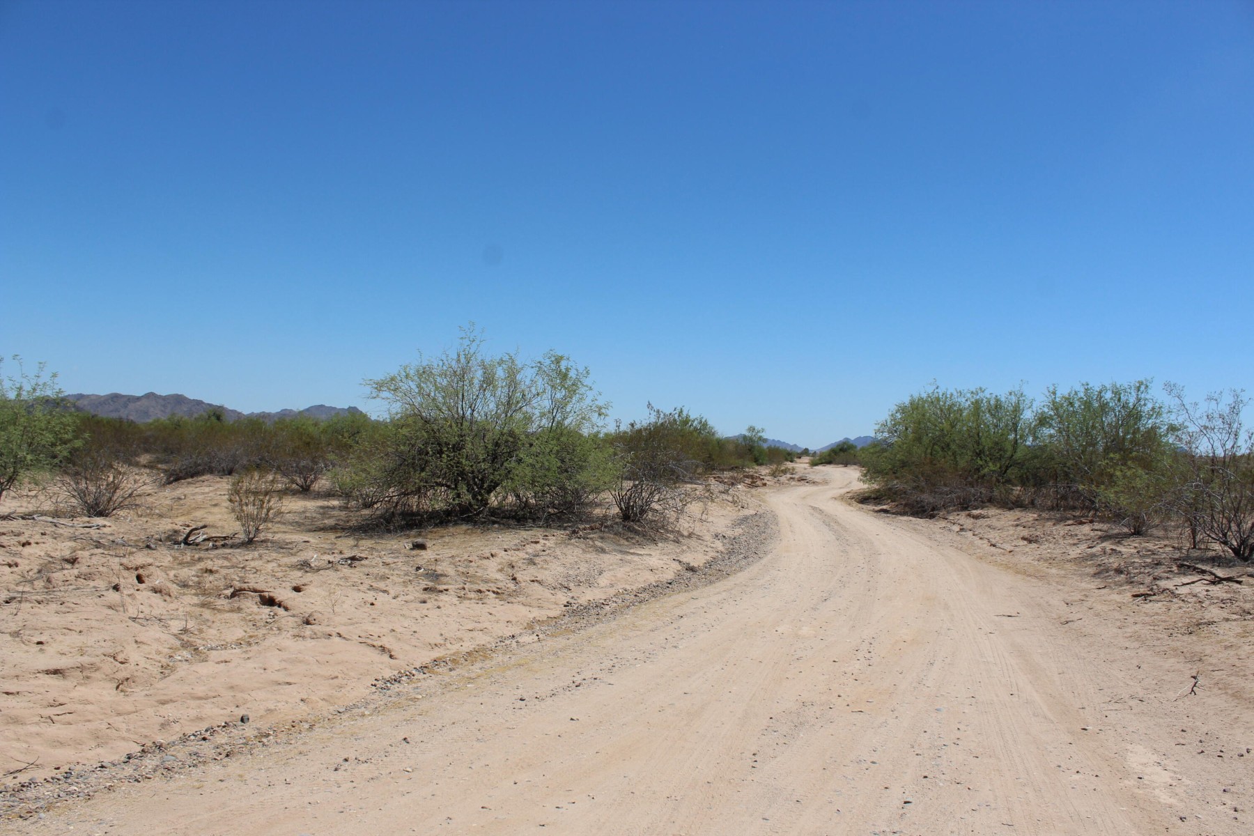  11 S 337th Avenue, Arlington, AZ, 85322 - 物件實景