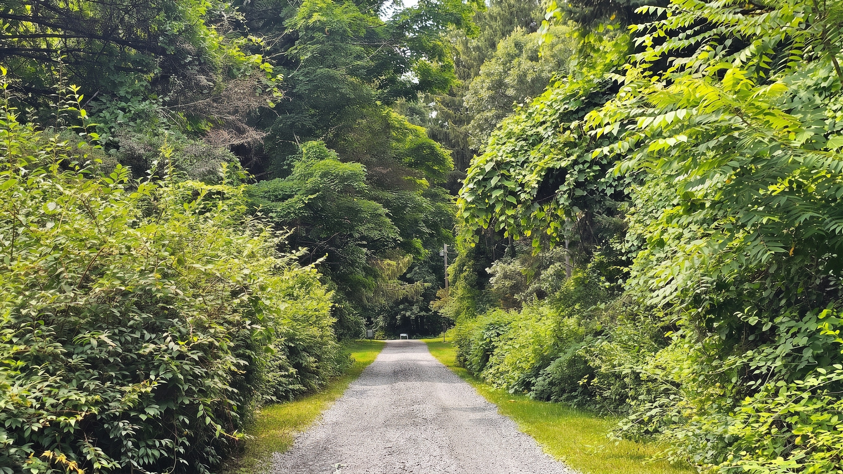  Five Bedroom Home Tucked Away  at the End of a Private Road - 物件實景