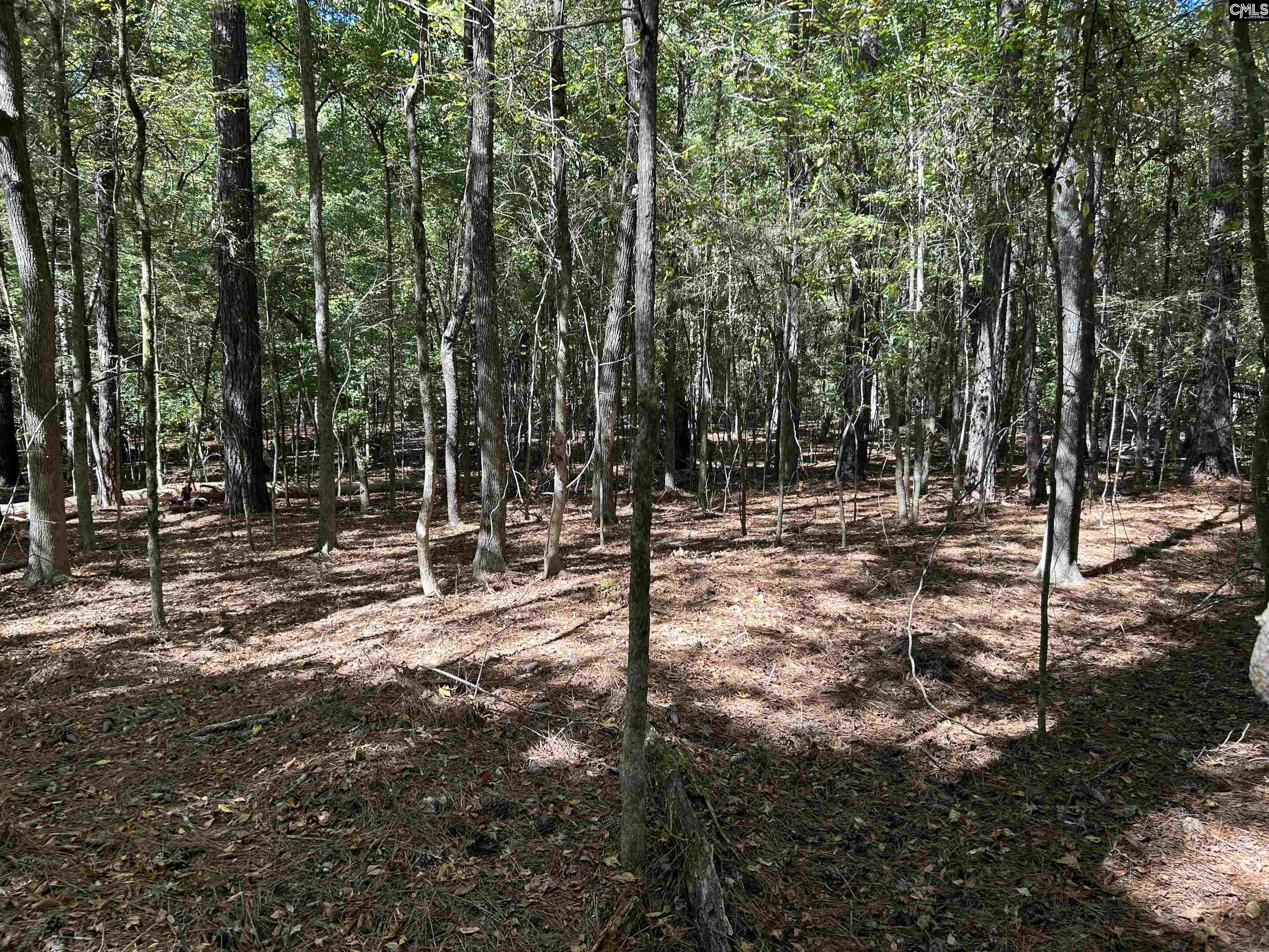 Indian Cove Rd, Chapin, SC 29036