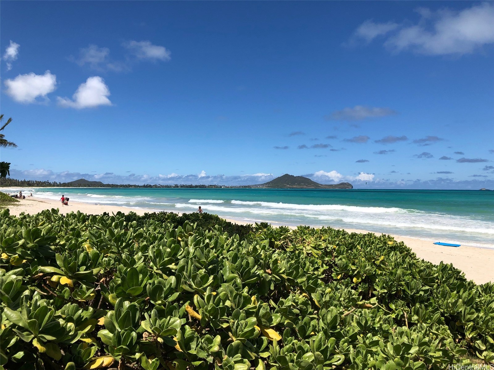 Kalaheo Ave, Kailua, HI 96734 #1