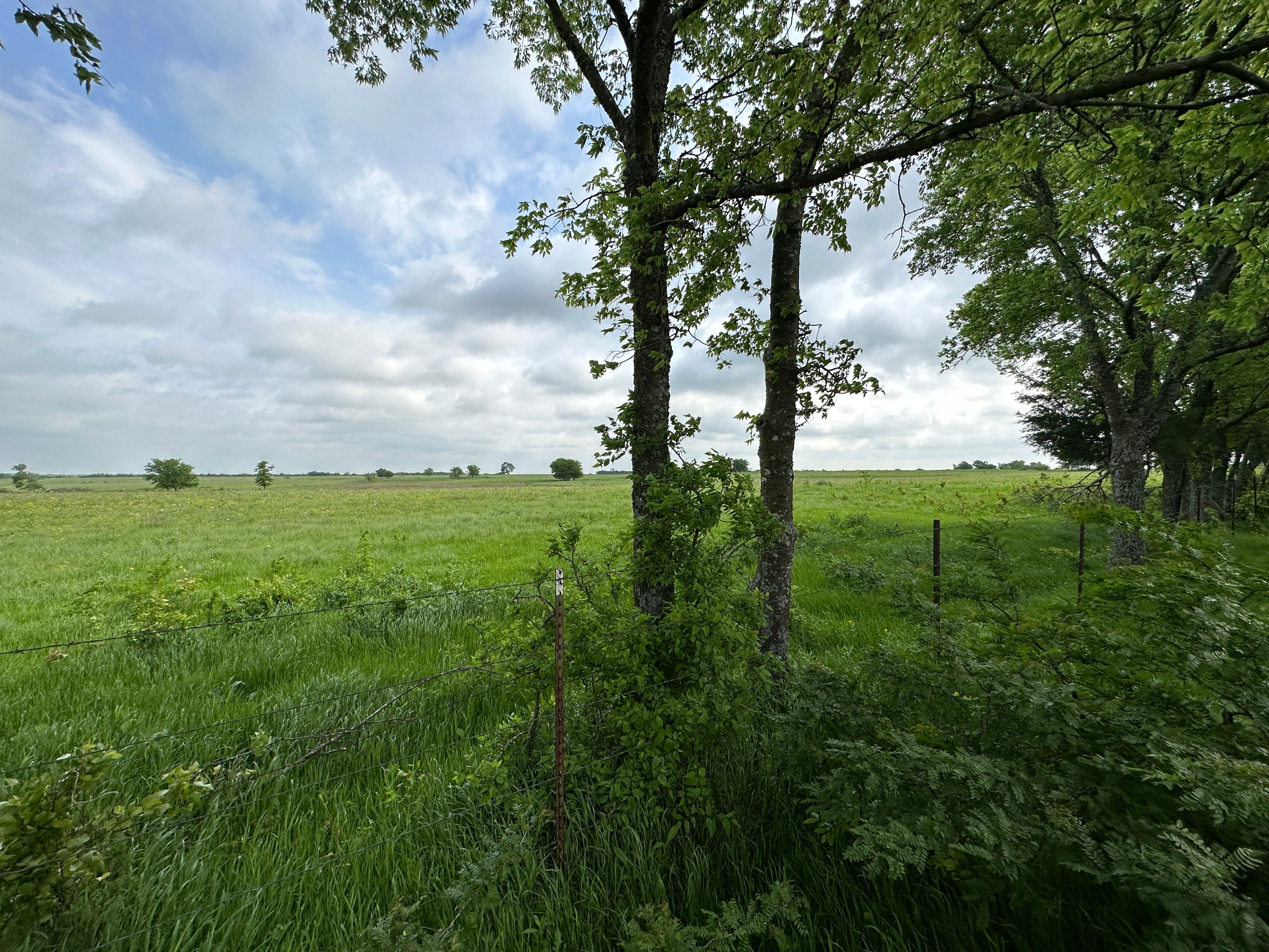  4008 Rolling Lane, Greenville, TX, 75401 - 物件實景