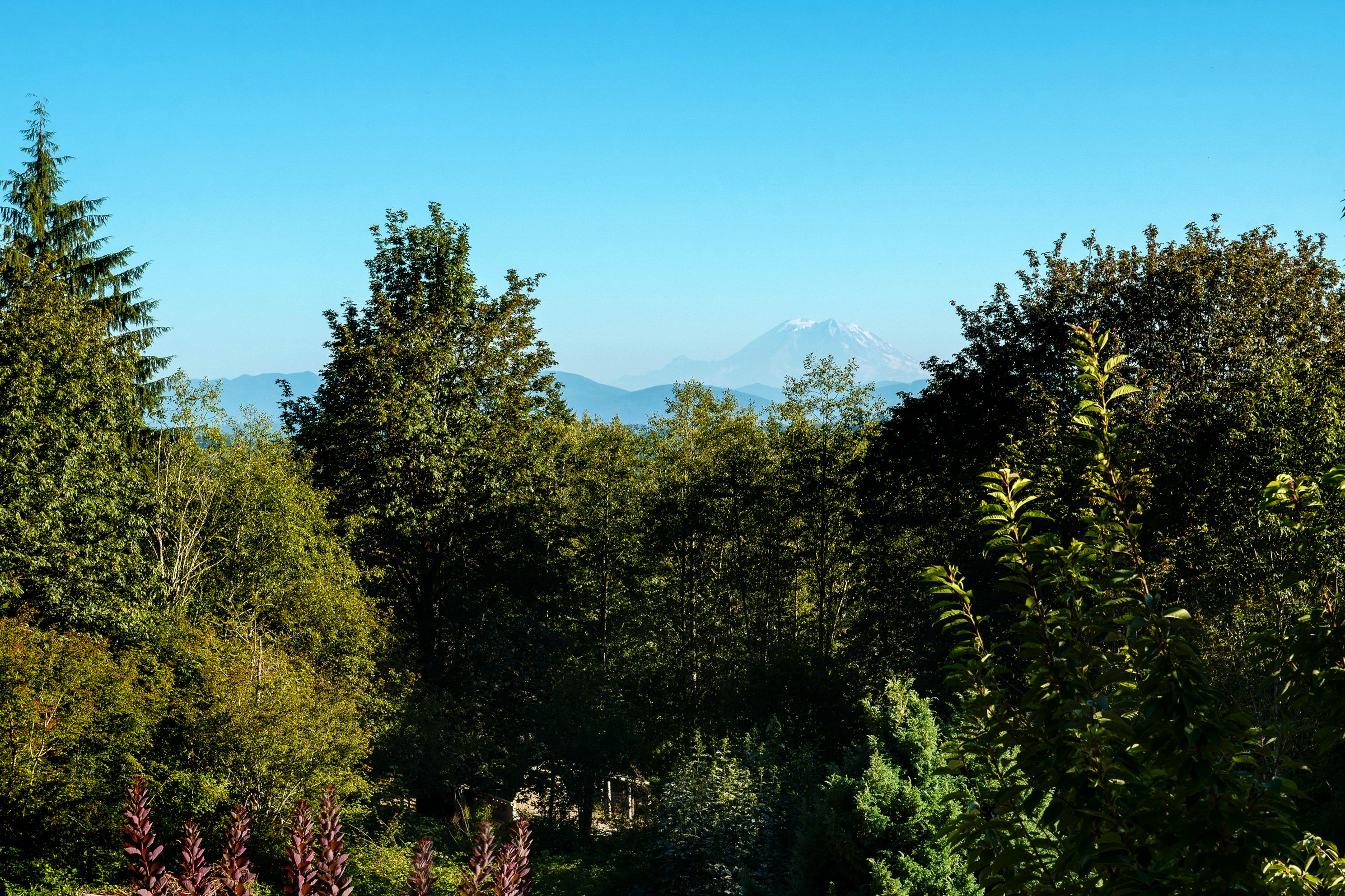  Mountain Glen Ranch  A Distinctive Northwest Estate with Montana Soul - 物件實景