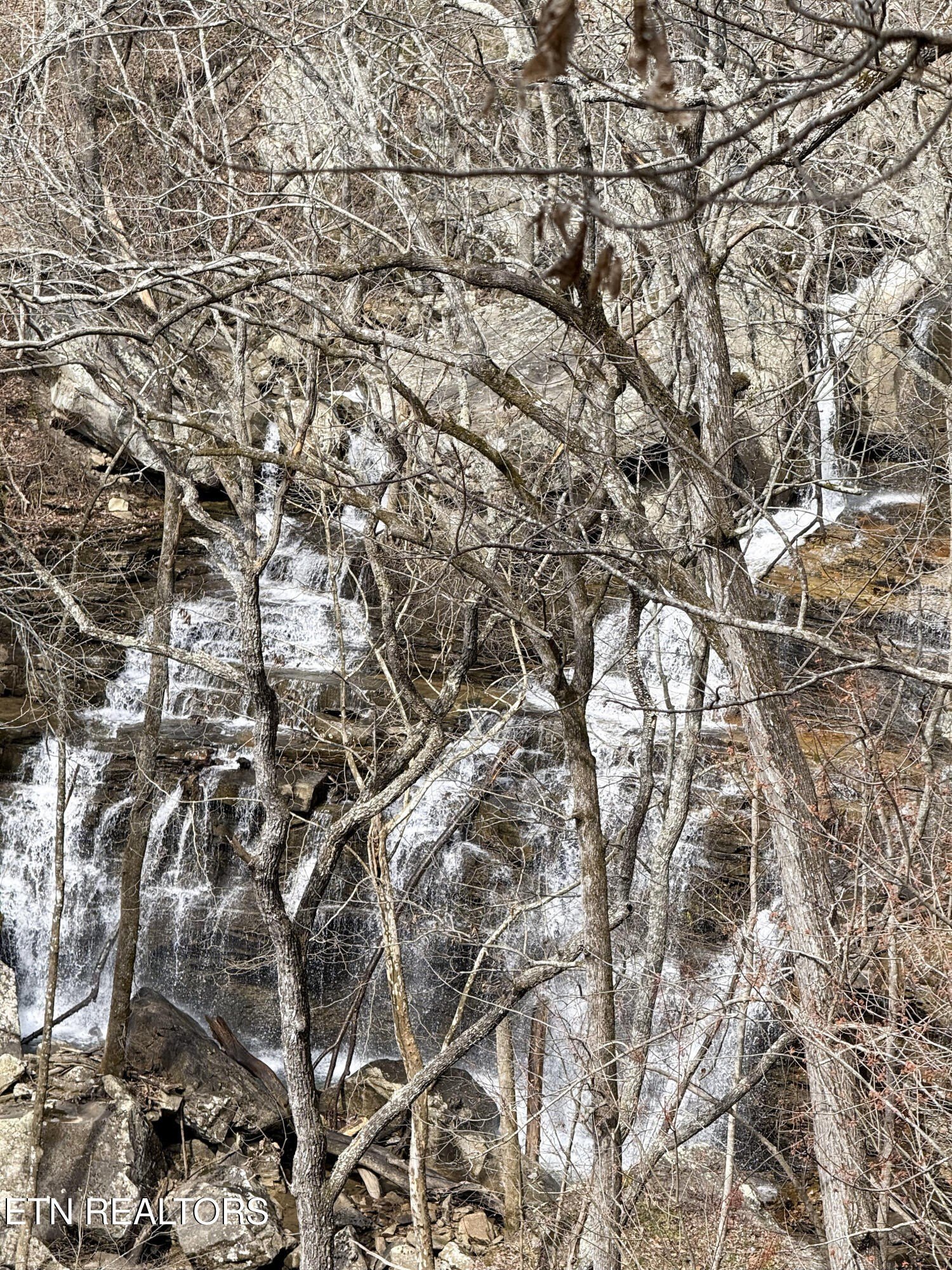 Pikeville, Tennessee, 37367, United States, ,Land,For Sale,1975616