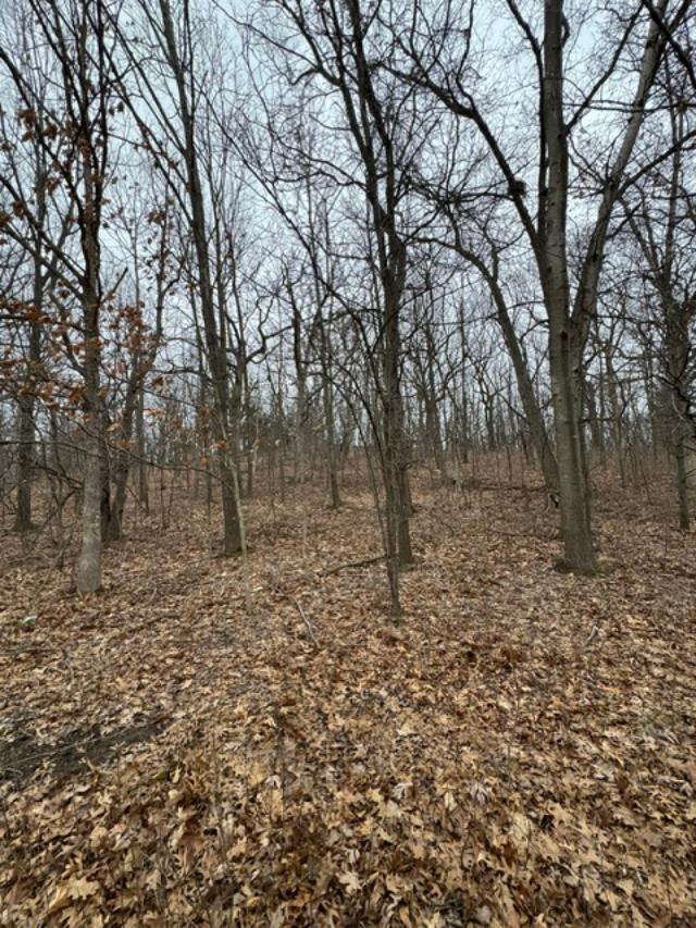 Delafield, Wisconsin, 53018, United States, ,Residential,For Sale,1921255