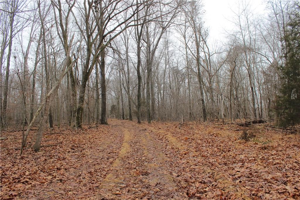 Rogers, Arkansas, 72756, United States, ,Land,For Sale,1966803