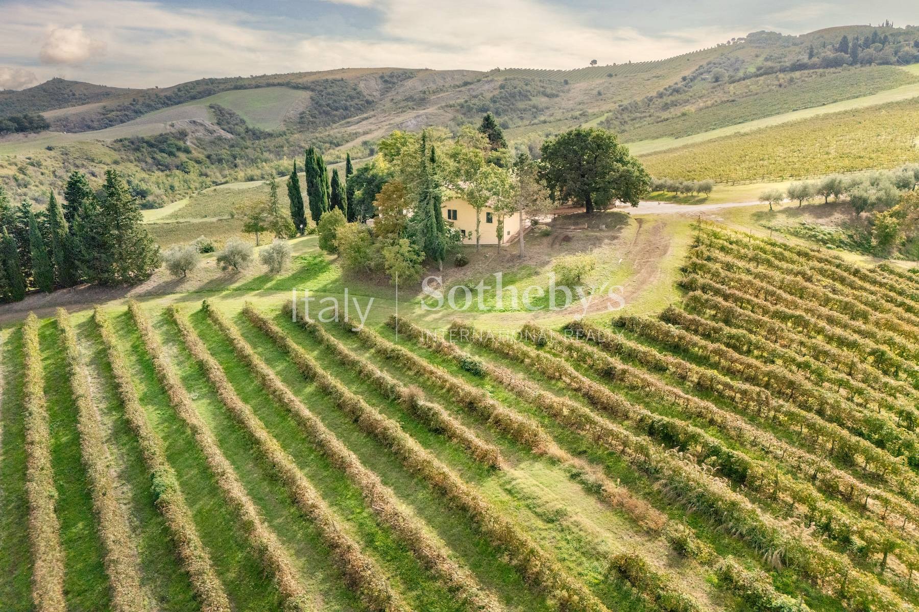  Enchanting agricultural and wine estate on the hills of Romagna - 物件實景