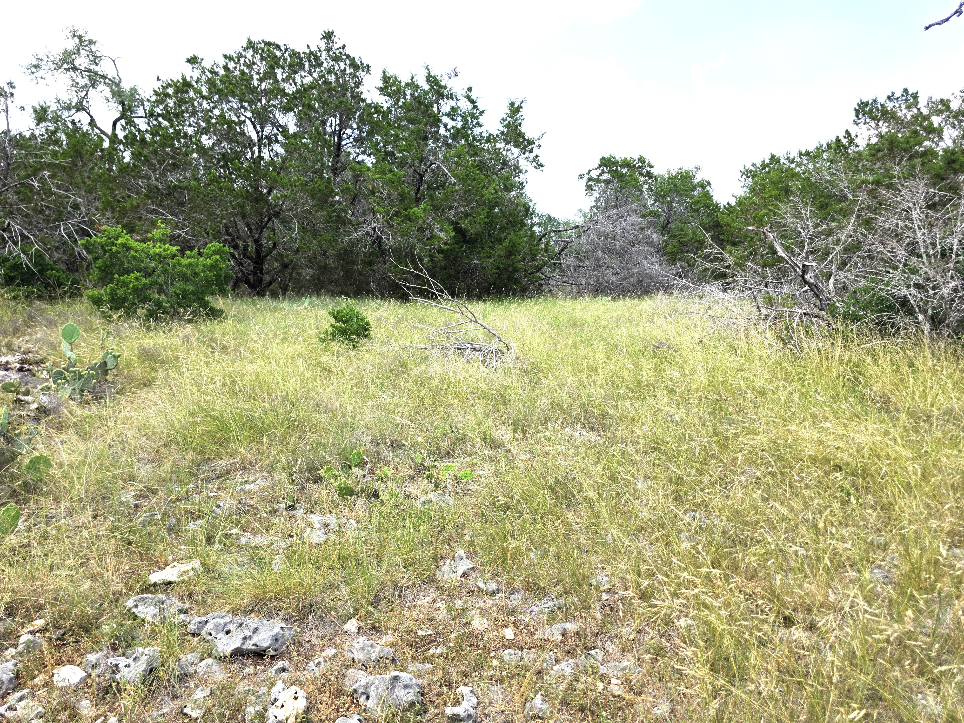 San Marcos, Texas, 78666, United States, ,Land,For Sale,1976108