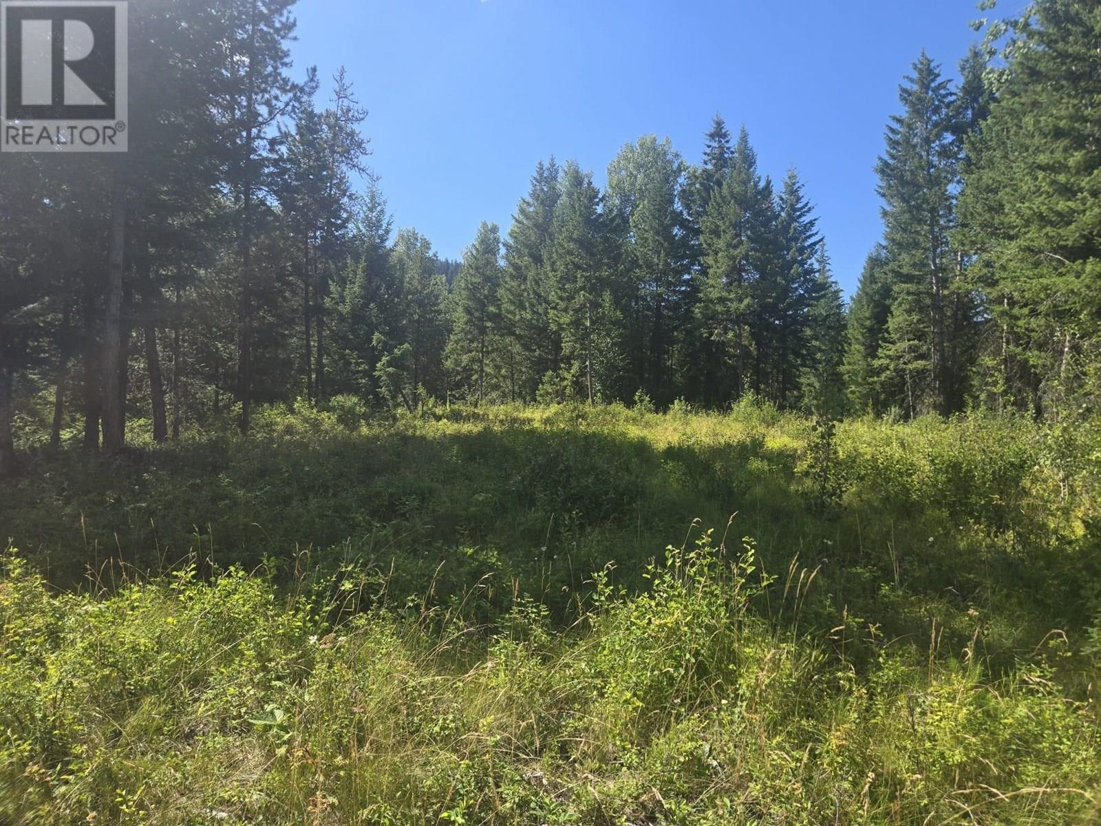 FALKLAND, British Columbia, V0E 1W1, CA, ,Residential,For Sale,1906760