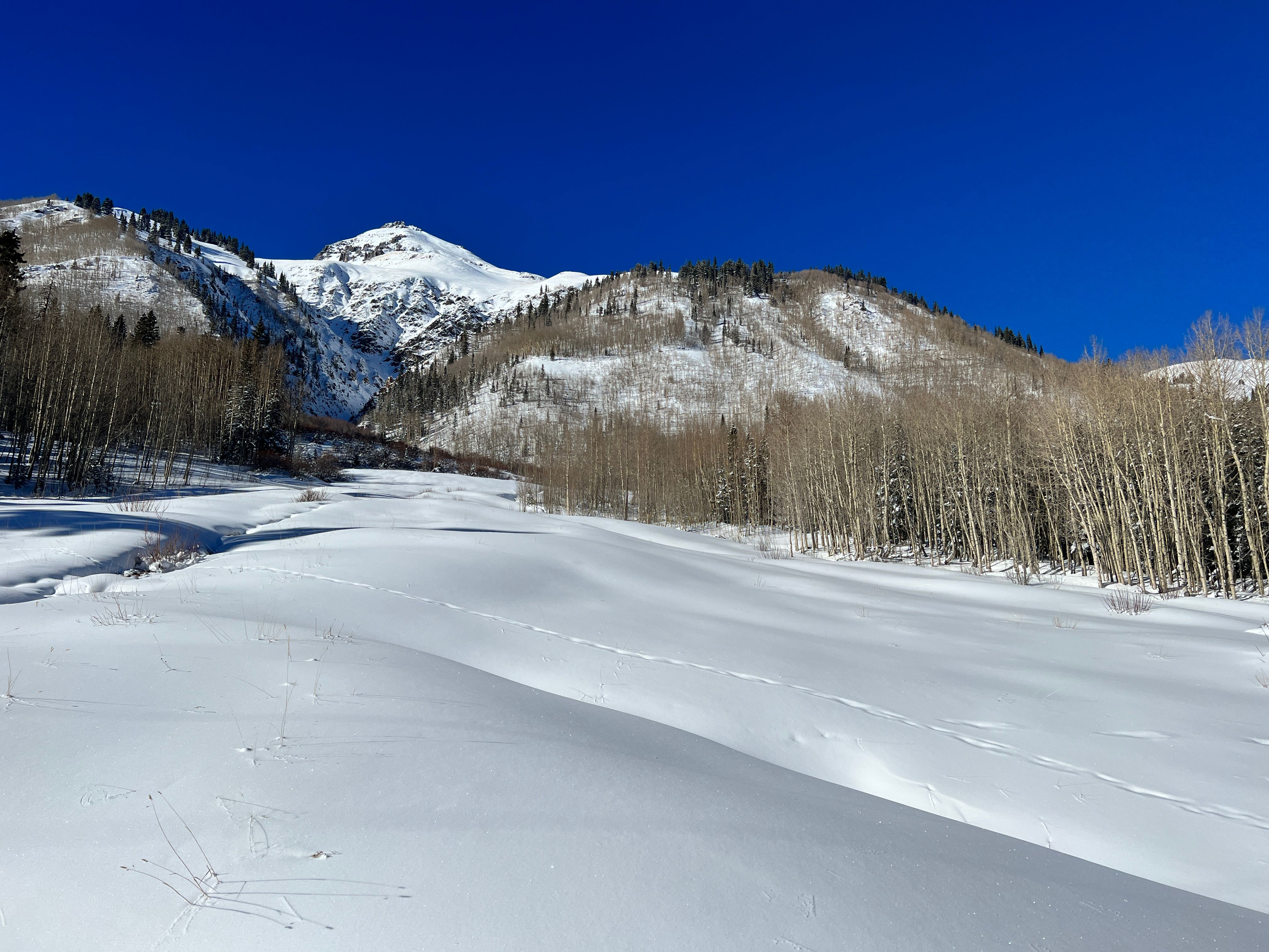  Alpine Estate with Acreage between Ouray and Silverton - 物件實景