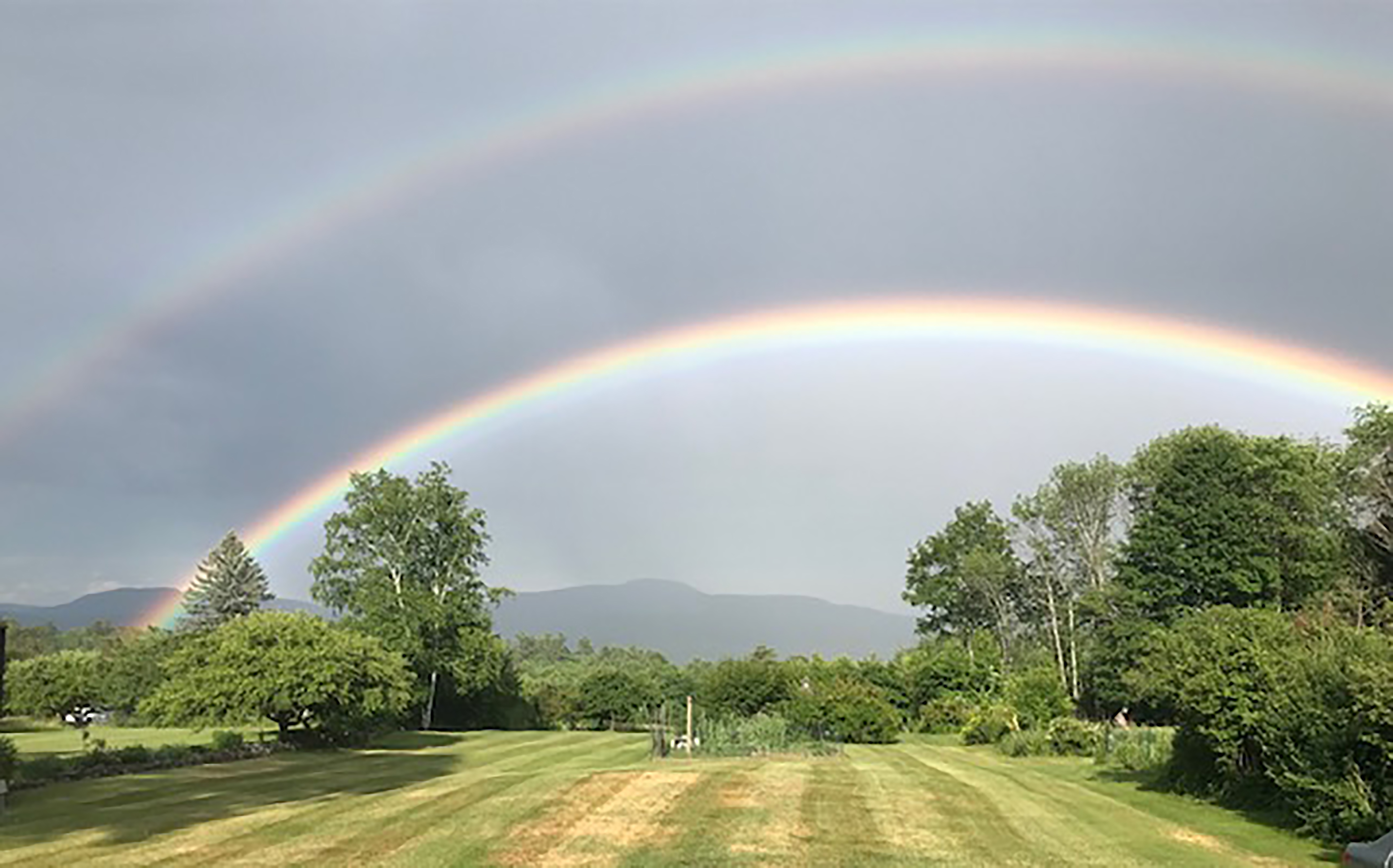  85 Academy Road - 物件實景
