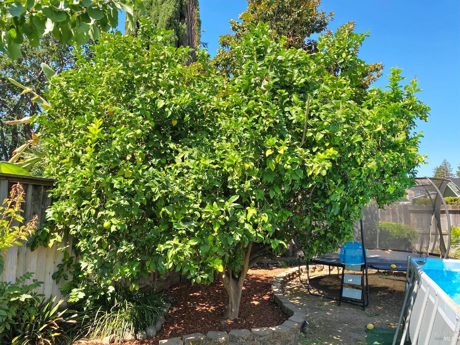 Vacaville, California, 95688, United States, 5 Bedrooms Bedrooms, ,3 BathroomsBathrooms,Residential,For Sale,1911426