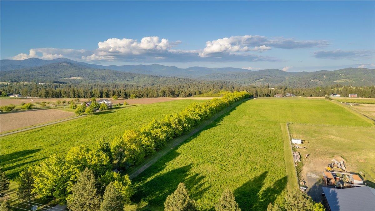 Mead, Washington, 99021, United States, ,Land,For Sale,1977316