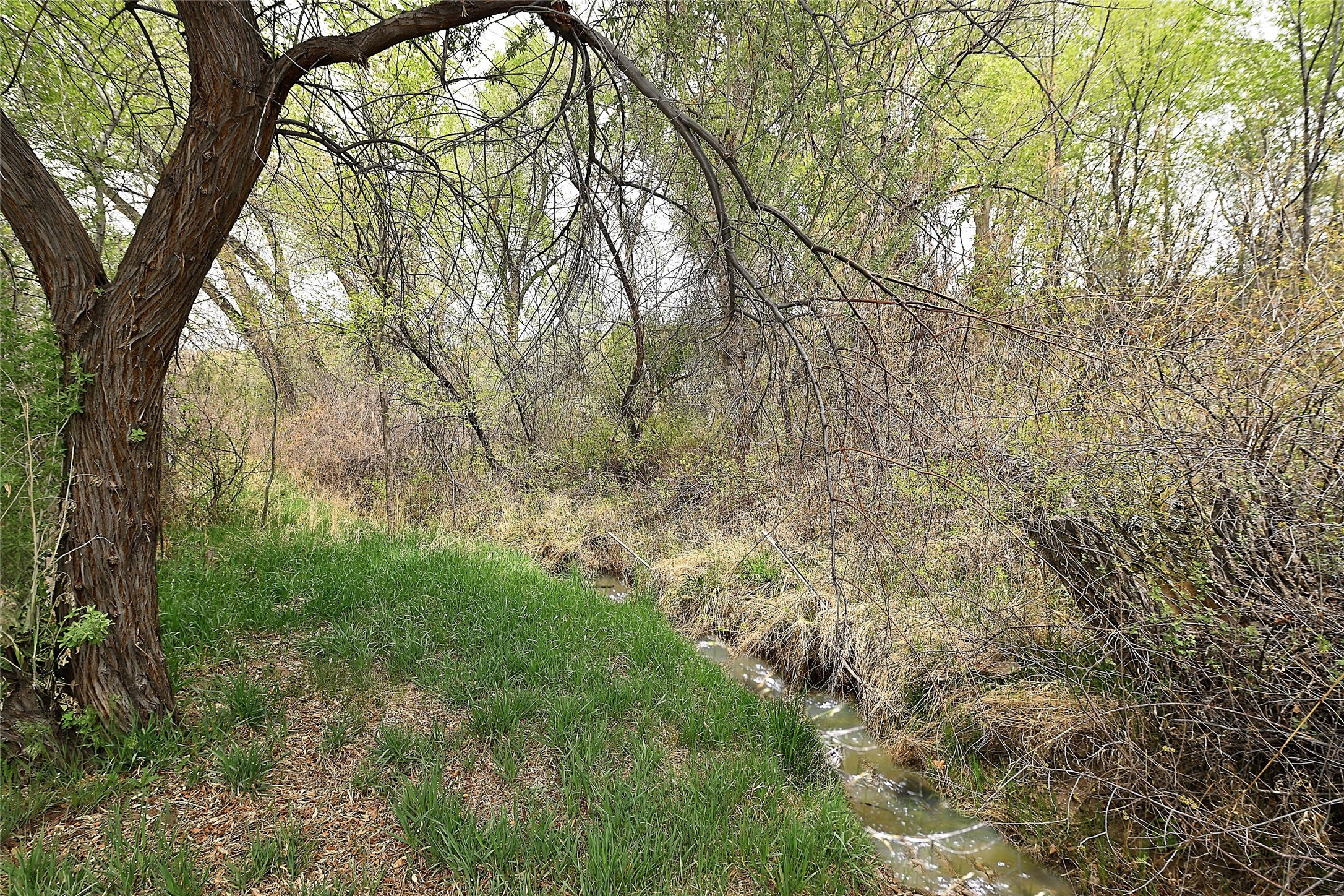  7 Camino De Pastores #A & #B - 物件實景