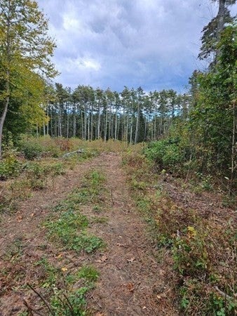 Daniel Shays Hwy, Orange, MA 01364 #1